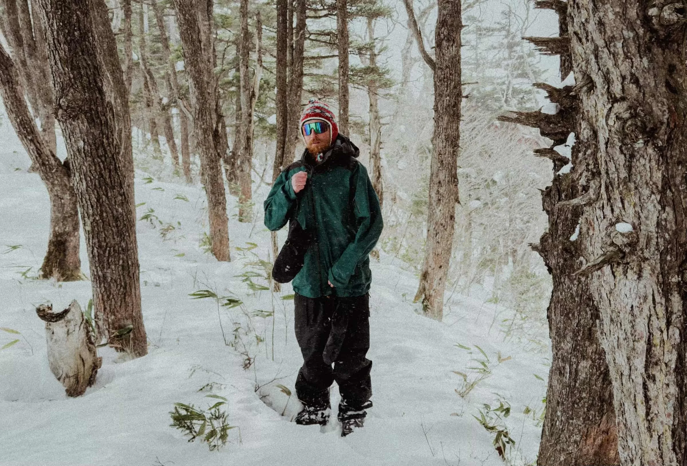   Man wearing Patagonia PowSlayer jacket in snow-covered trees  
