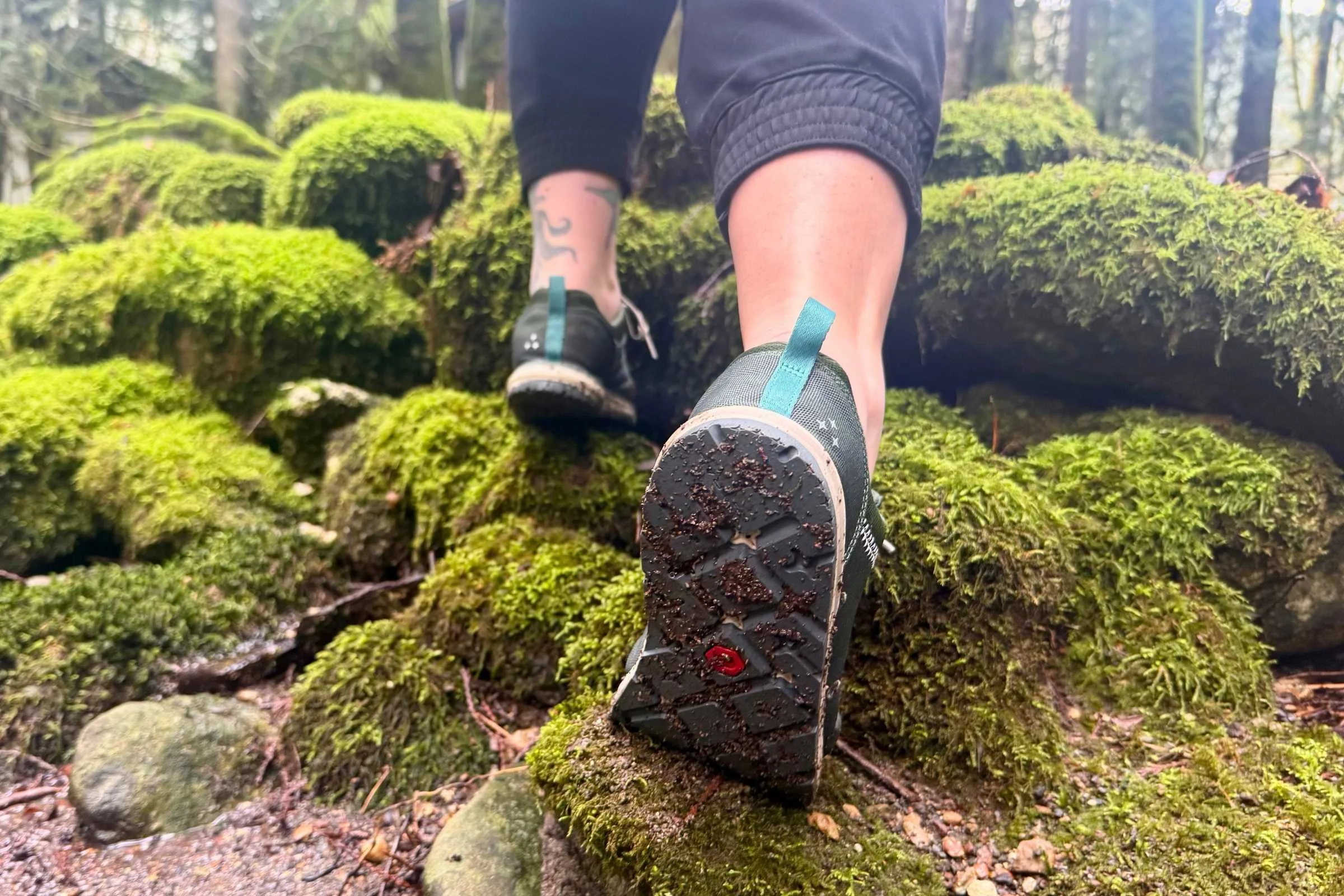   Field testing the Brewer 3.0.   Photo by Steve Redmond  