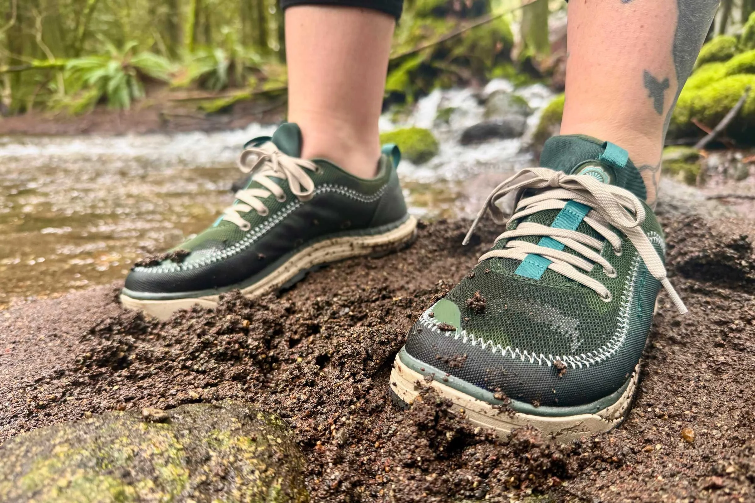   Field-testing the Brewer 3.0 in the PNW.   Photo by Steve Redmond  