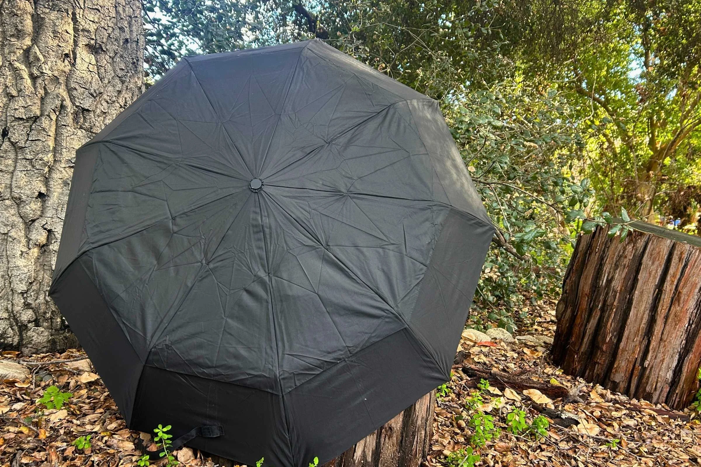   Top of the Repel Windproof umbrella  