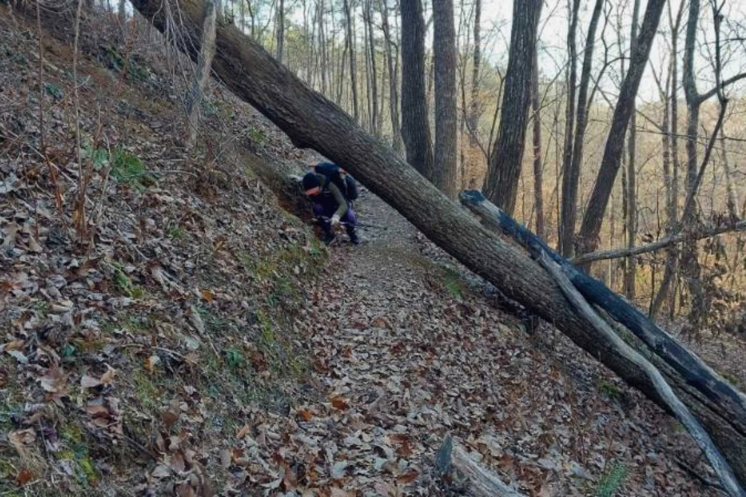 hiker-under-fallen-tree.jpg