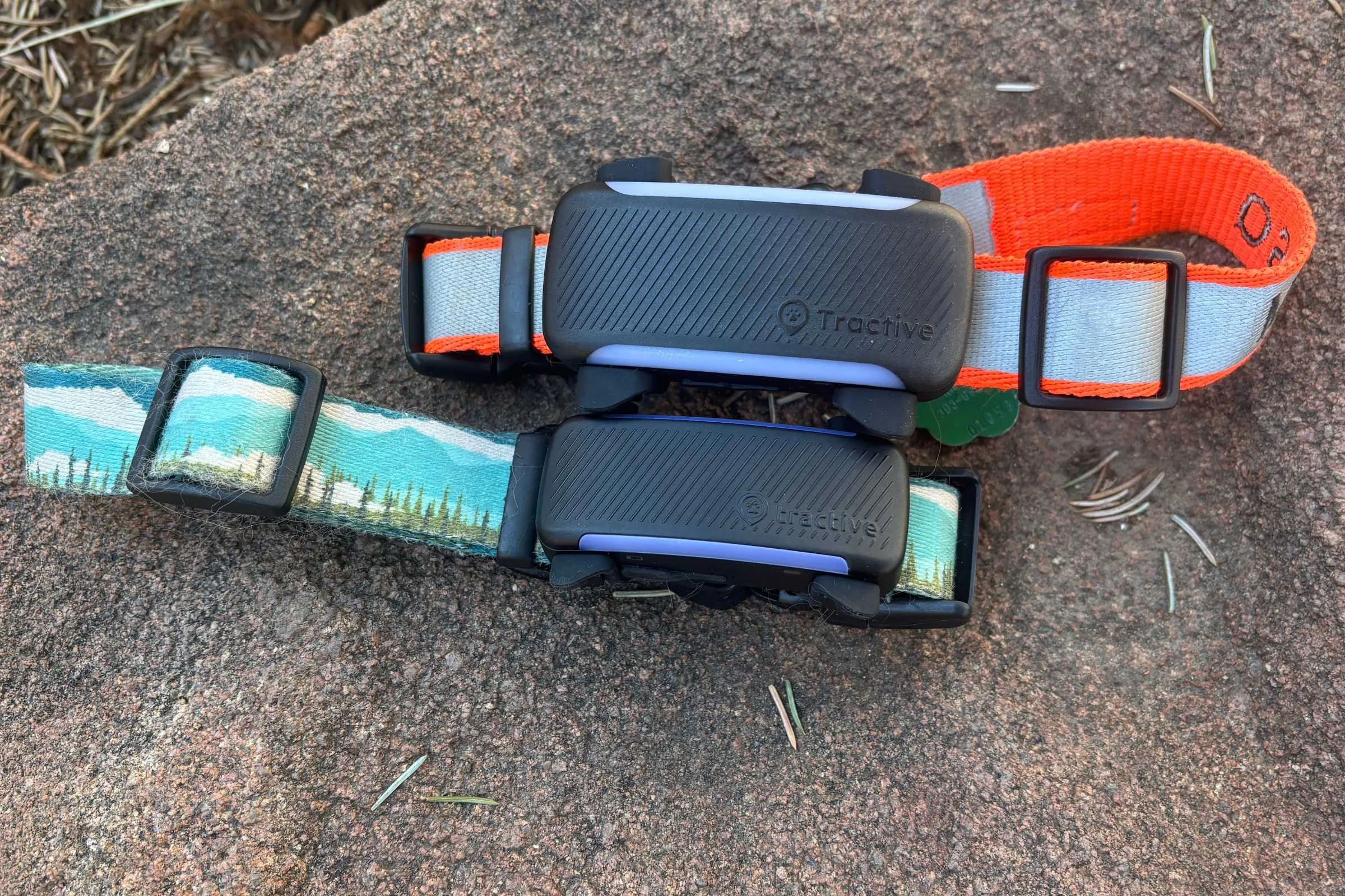   Size comparison of the Tractive Dog 6 XL and the Dog 6.  