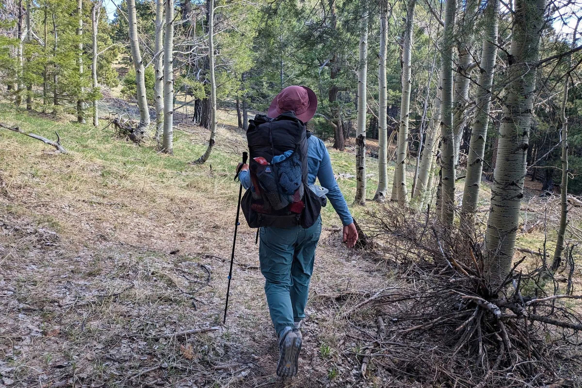   Rear view of a hiker walking through a forest wearing REI Trailmade Pull-On pants.  