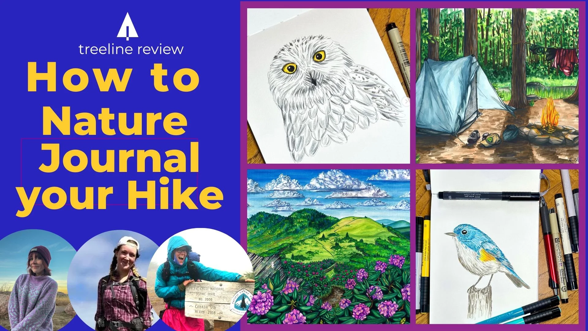 How to Start a Nature Journal: A Beginner’s Guide to Documenting Your Hikes