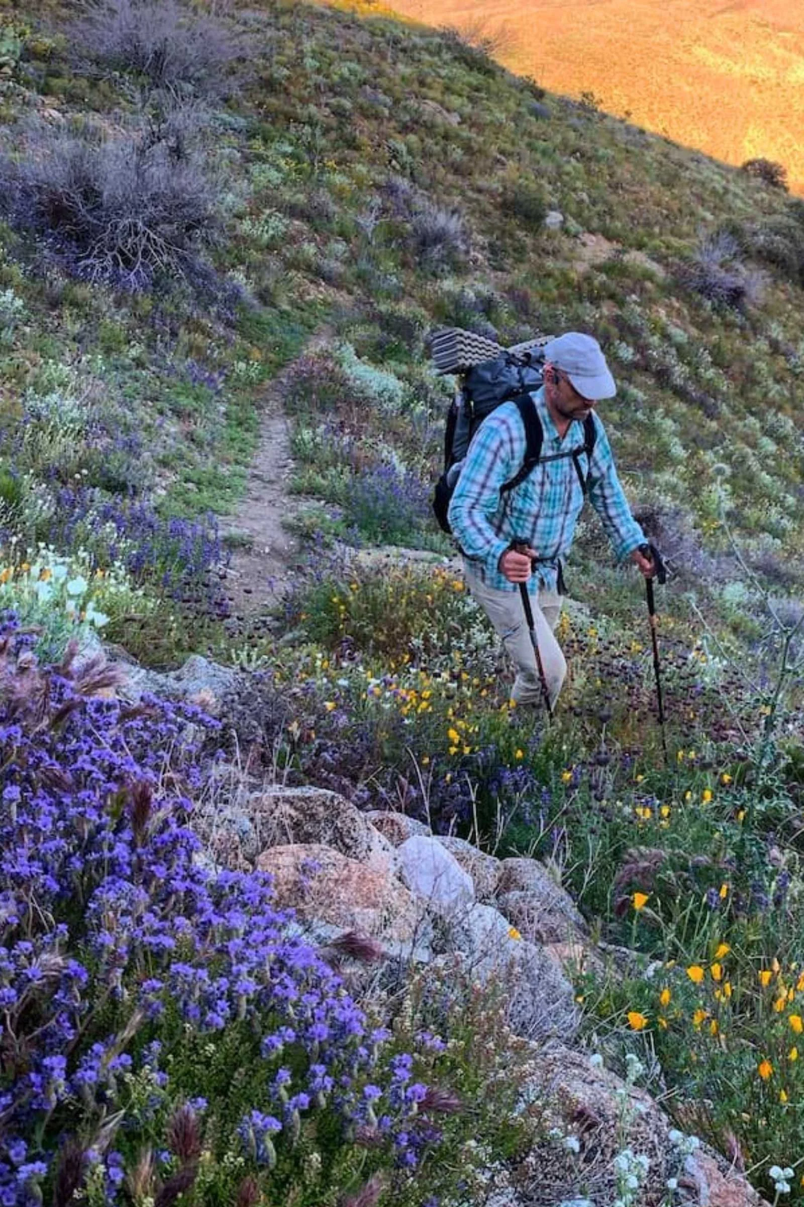  Hiker hiking amidst purple and yellow wildflowers wearing the Outdoor Research Sun Runner Cap  