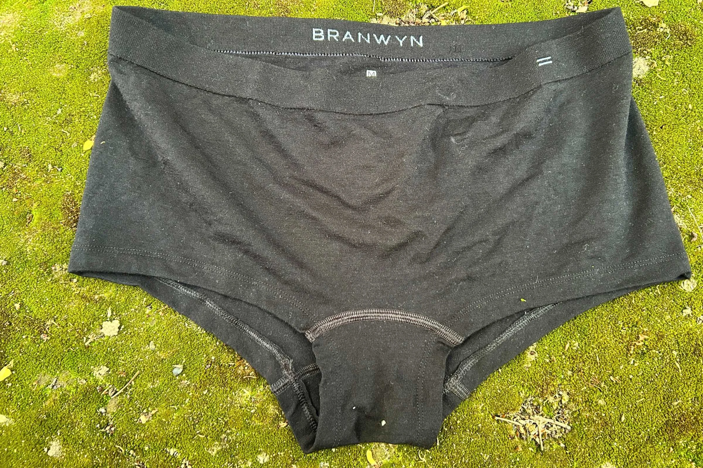   Front of the Branwyn Seamless Merino Boyshort  