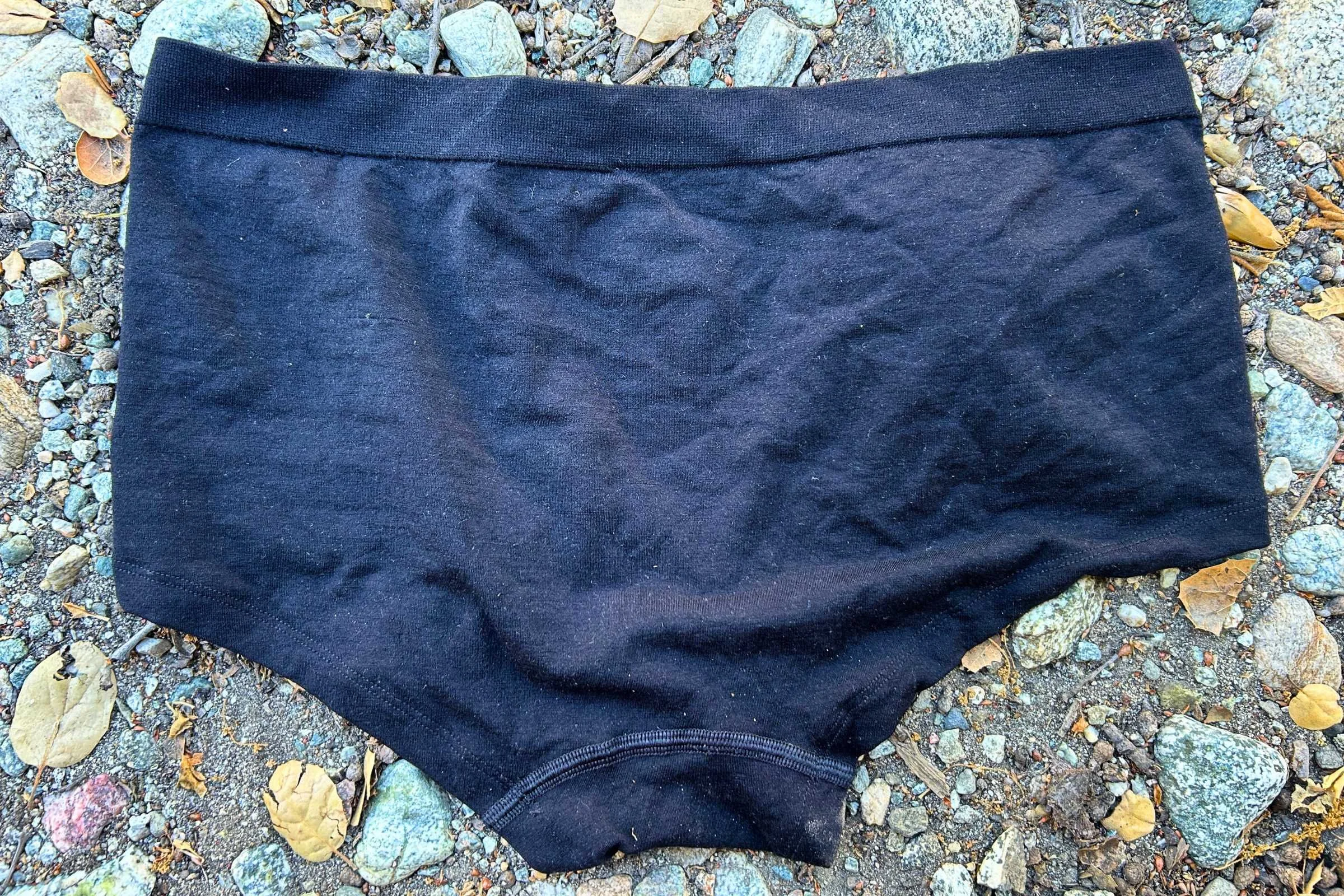   Back of the Branwyn Seamless Merino Boyshort  