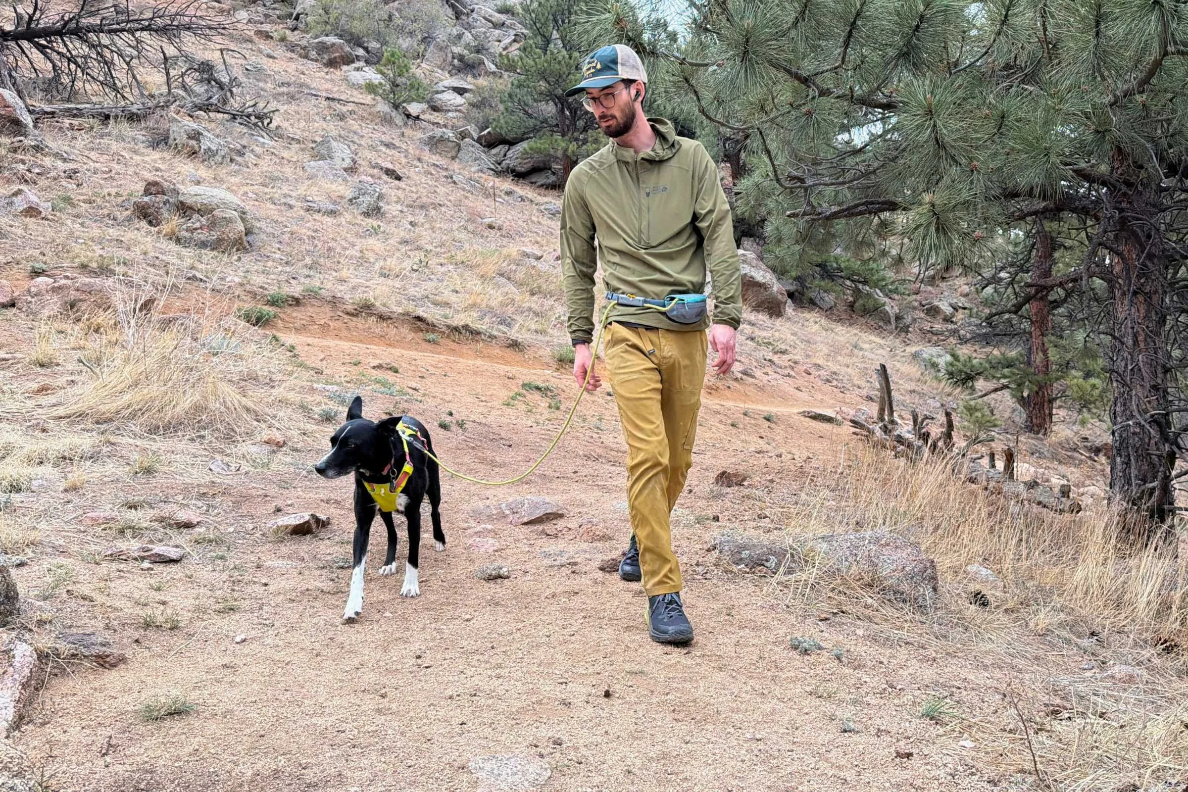Best Hands-Free Dog Leashes of 2026