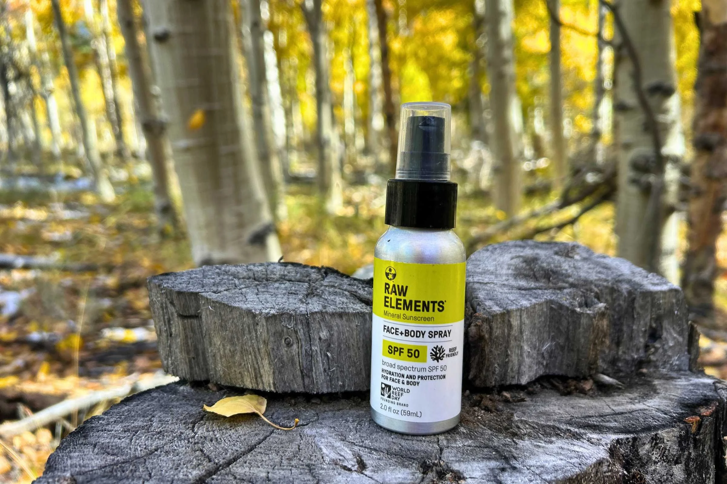   Raw Elements SPF 50 reef-safe mineral spray sunscreen bottle on tree stump in fall forest  