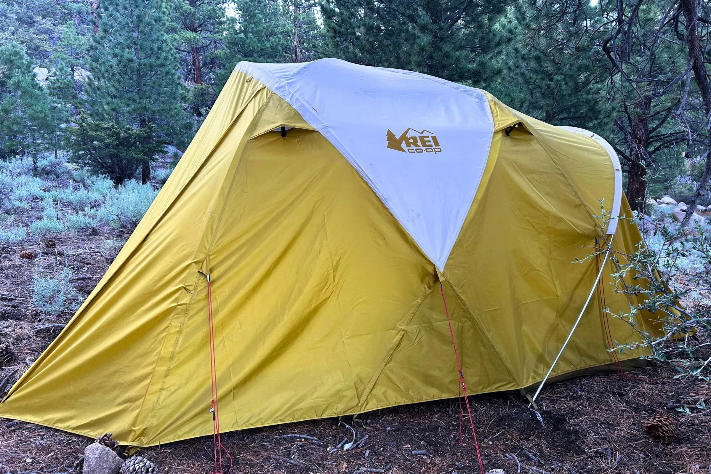   REI Base Camp 6 tent pitched at wooded campsite during cold-weather camping test  