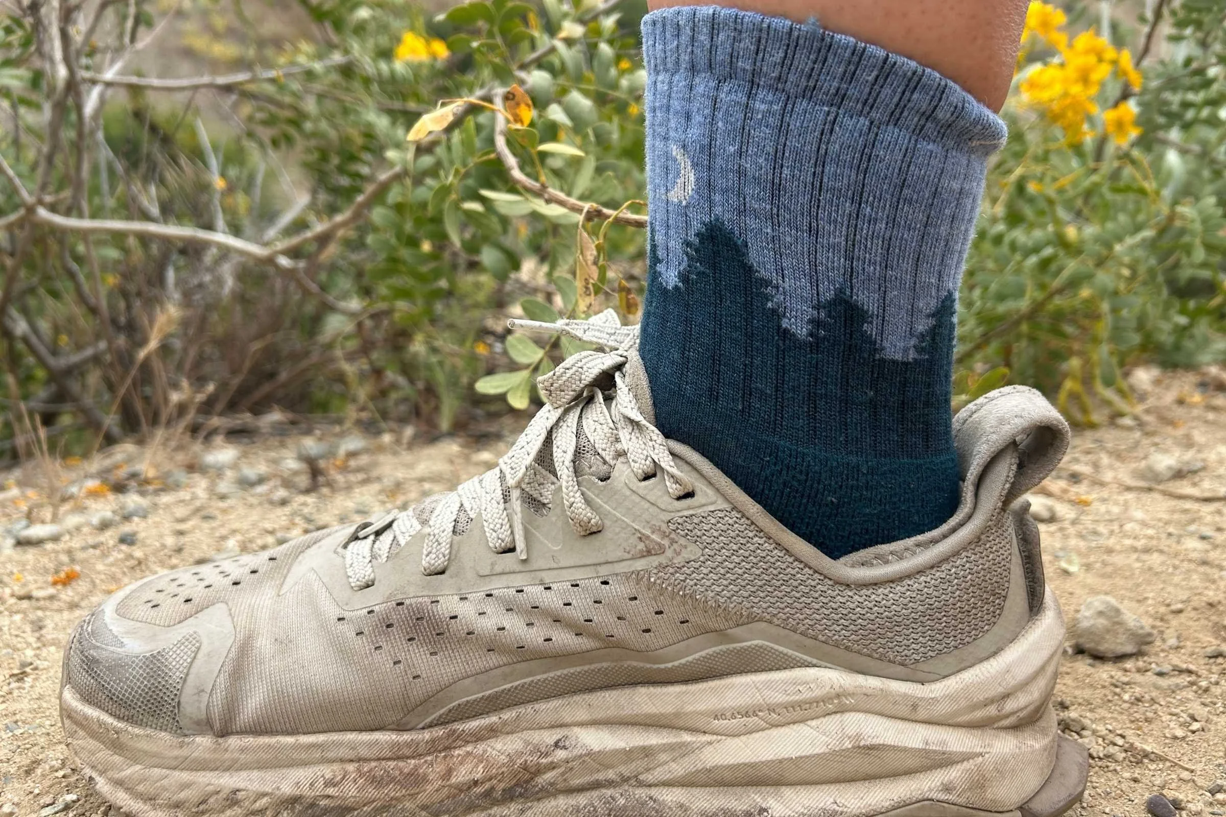  Darn Tough Hiker Micro Crew hiking sock  