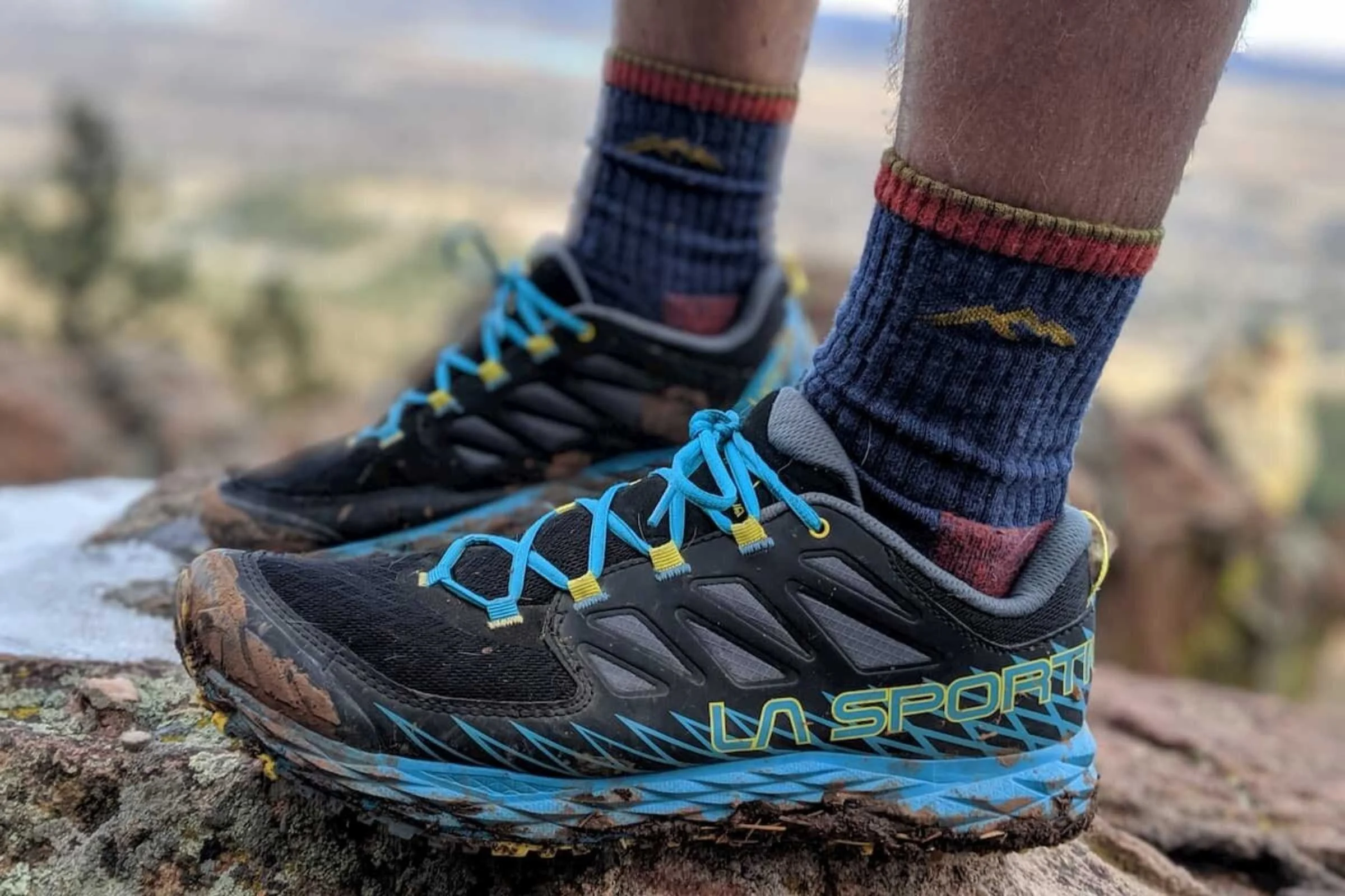   Darn Tough Hiker Micro Crew hiking sock  