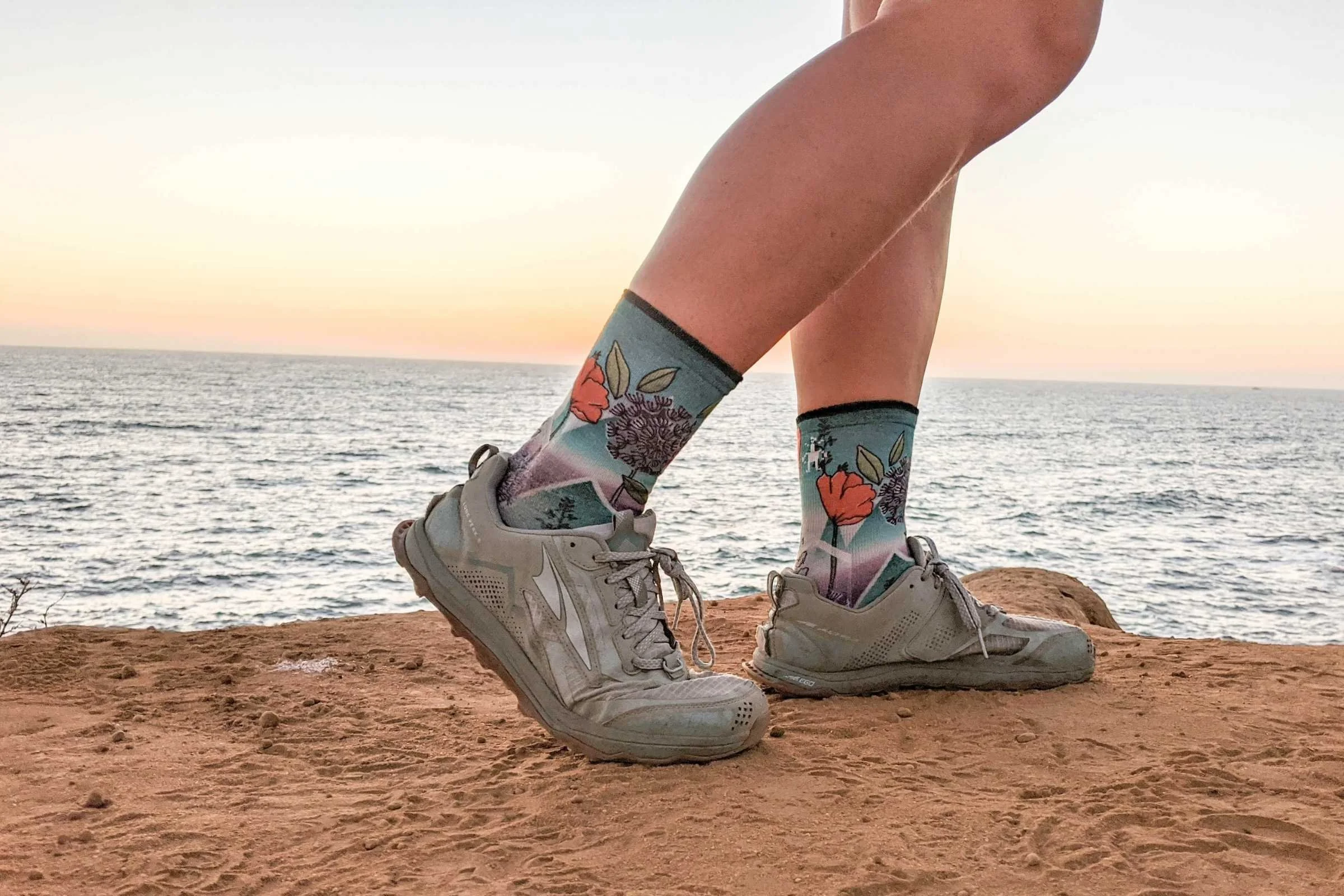   Smartwool Performance Run Zero Cushion  