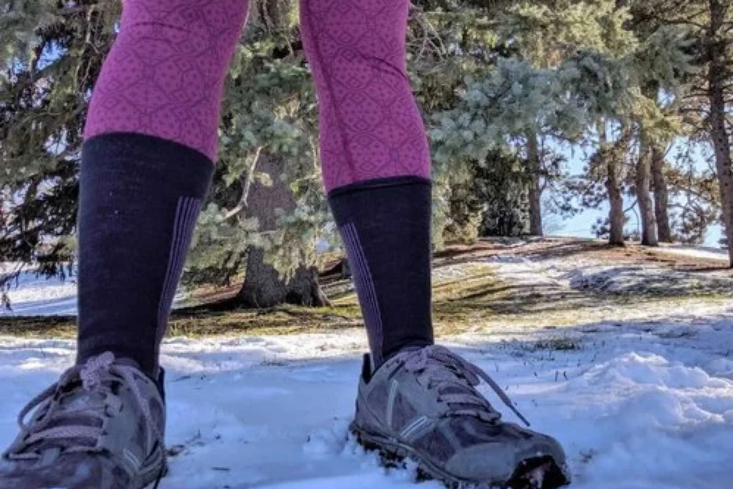   Farm to Feet Damascus Light hiking socks  