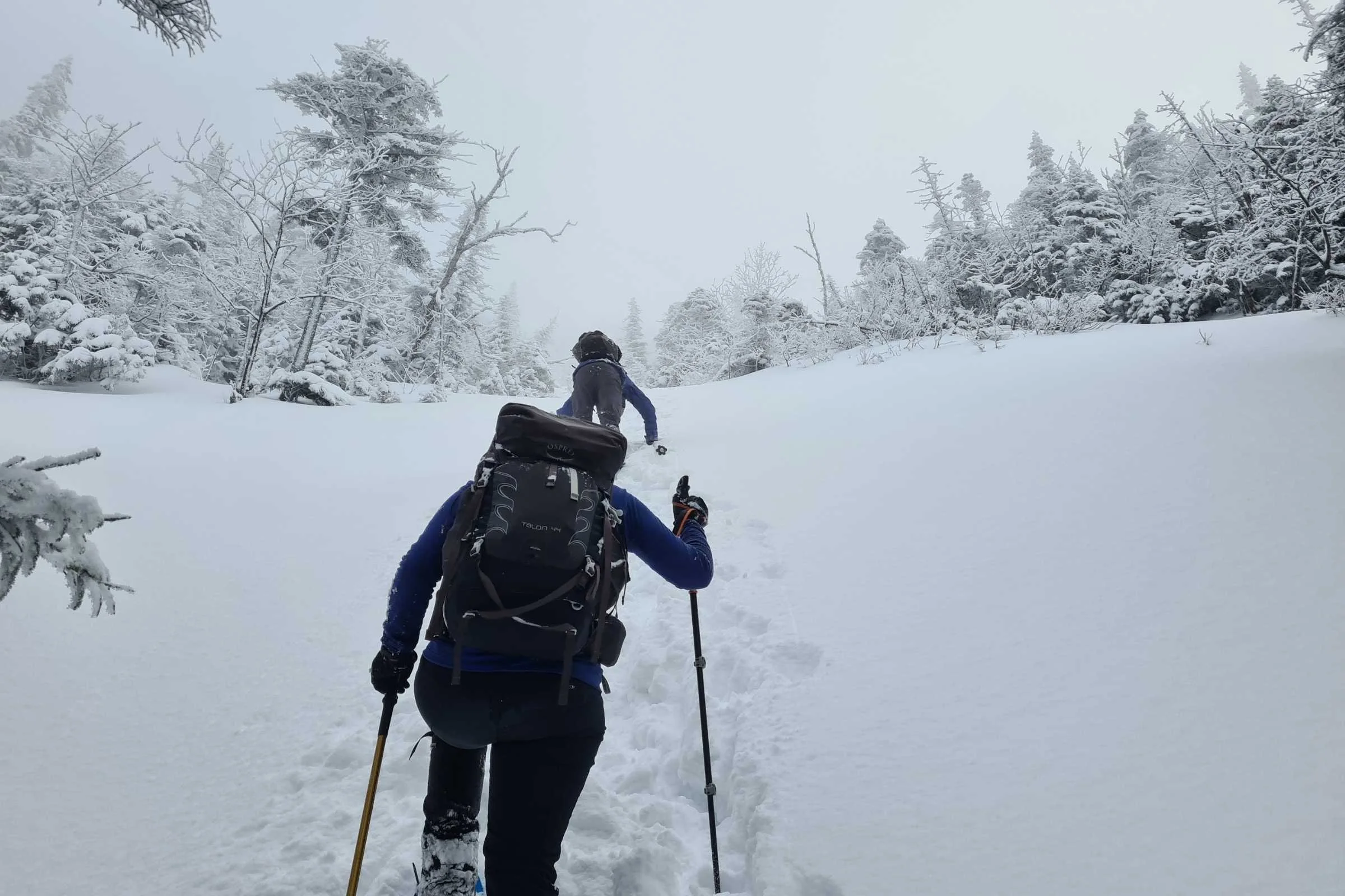   Hiking in the snow in the Smartwool Hike Classic Full Cushion socks   