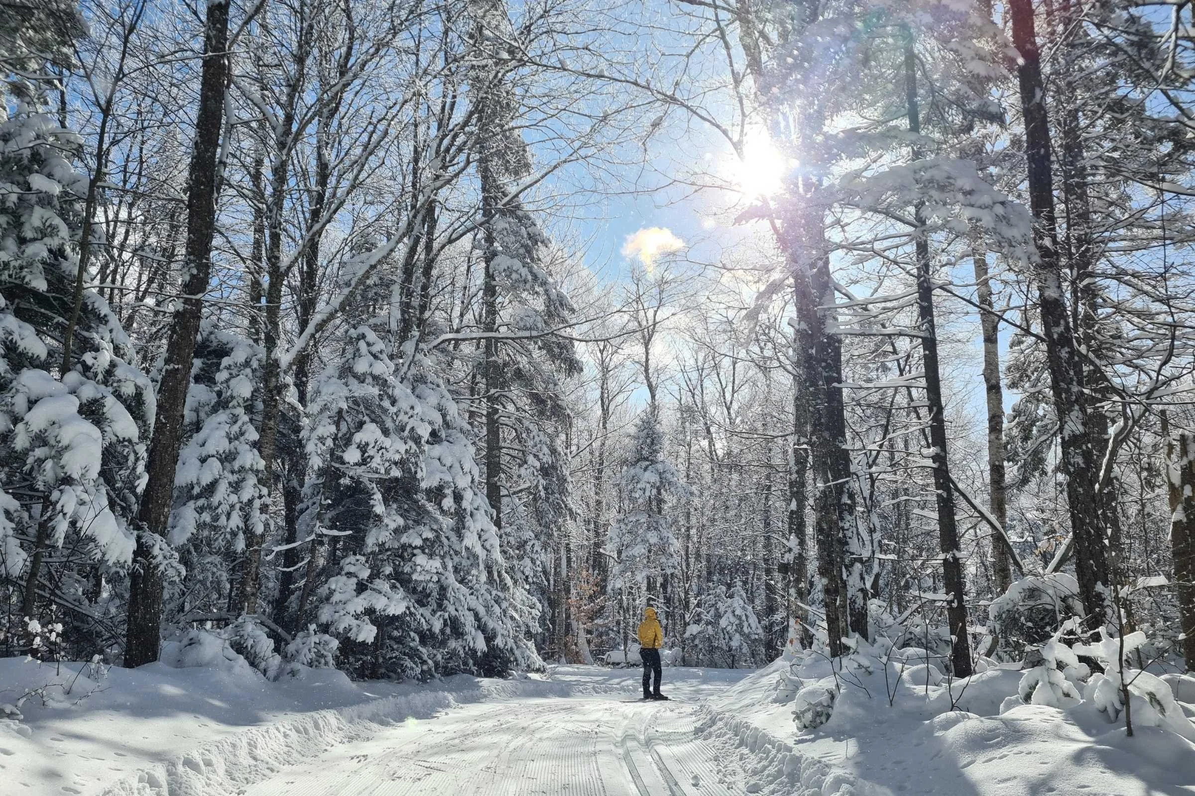   Snowy hike wearing the Smartwool Hike Classic Full Cushion socks   