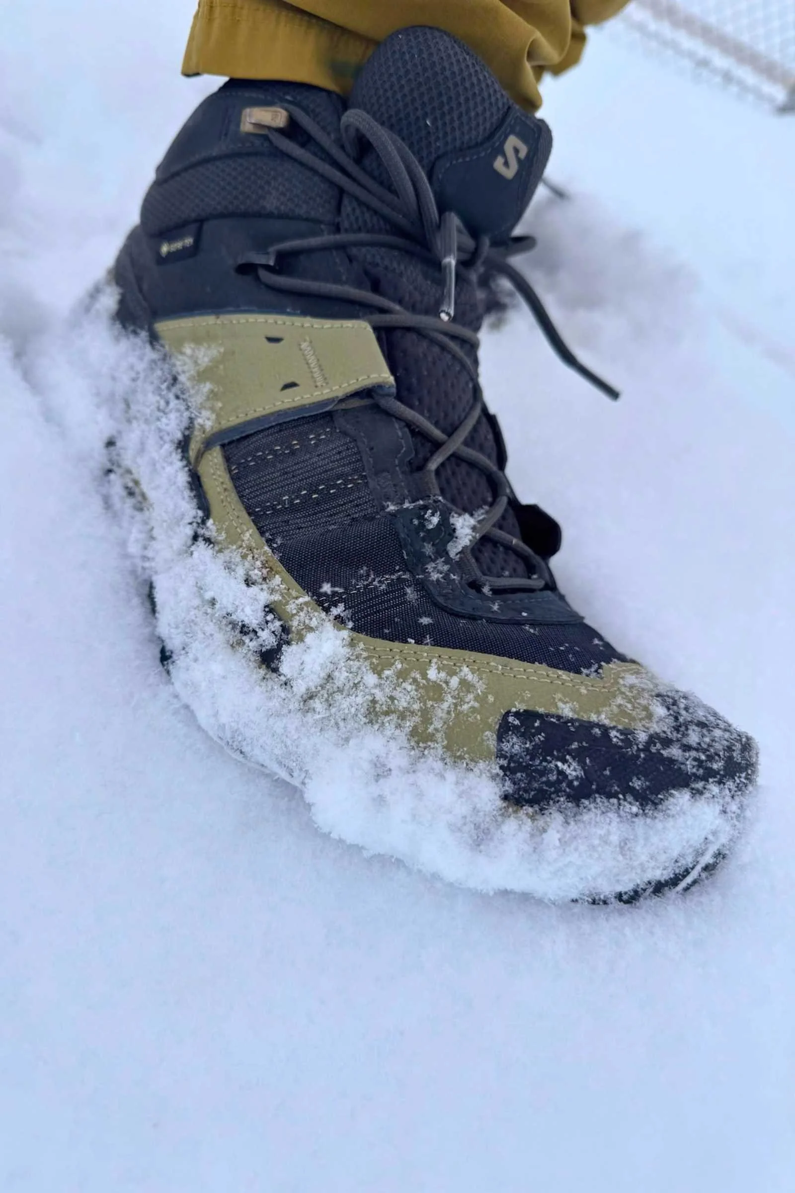   Salomon Quest 4 GTX   hiking boots in the snow  