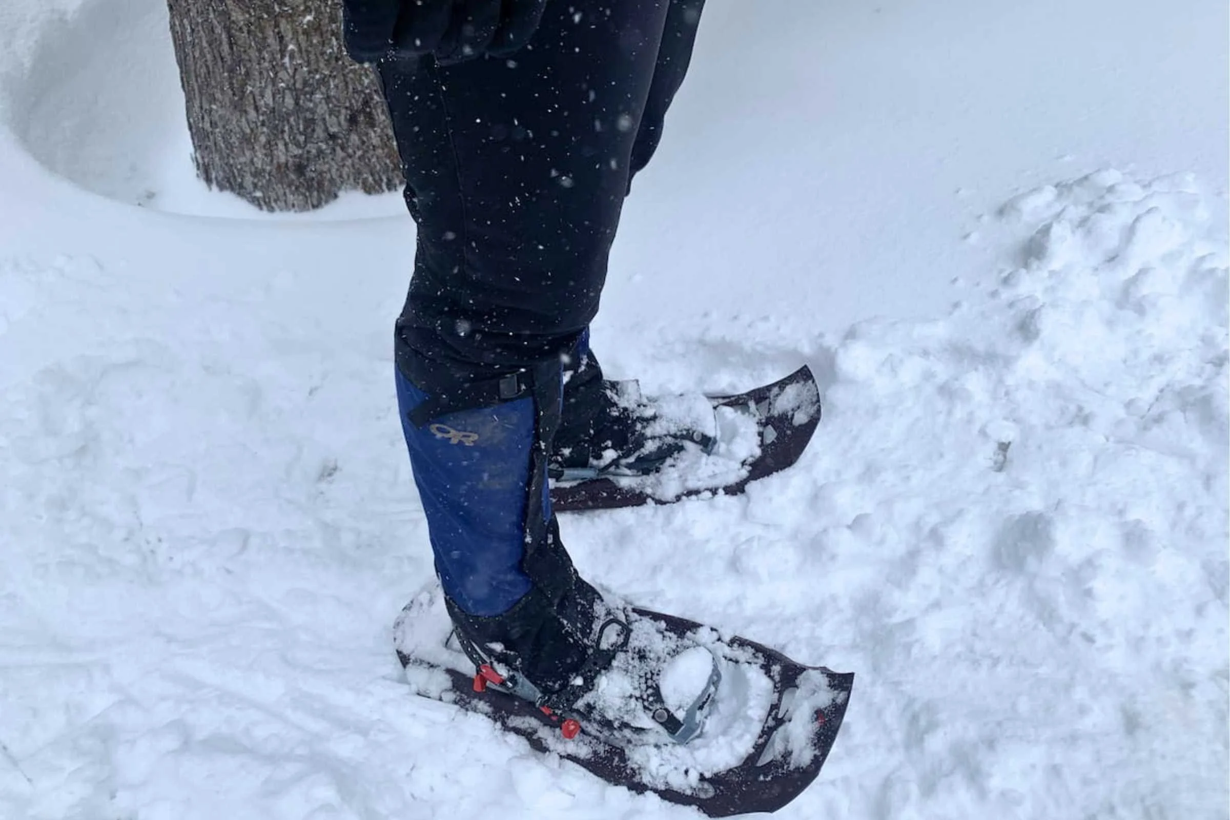   We like that waterproof hiking boots like the Lowa Renegade are dual duty — here they are being used on a snowshoeing trip on Mt. Hood, Oregon.  