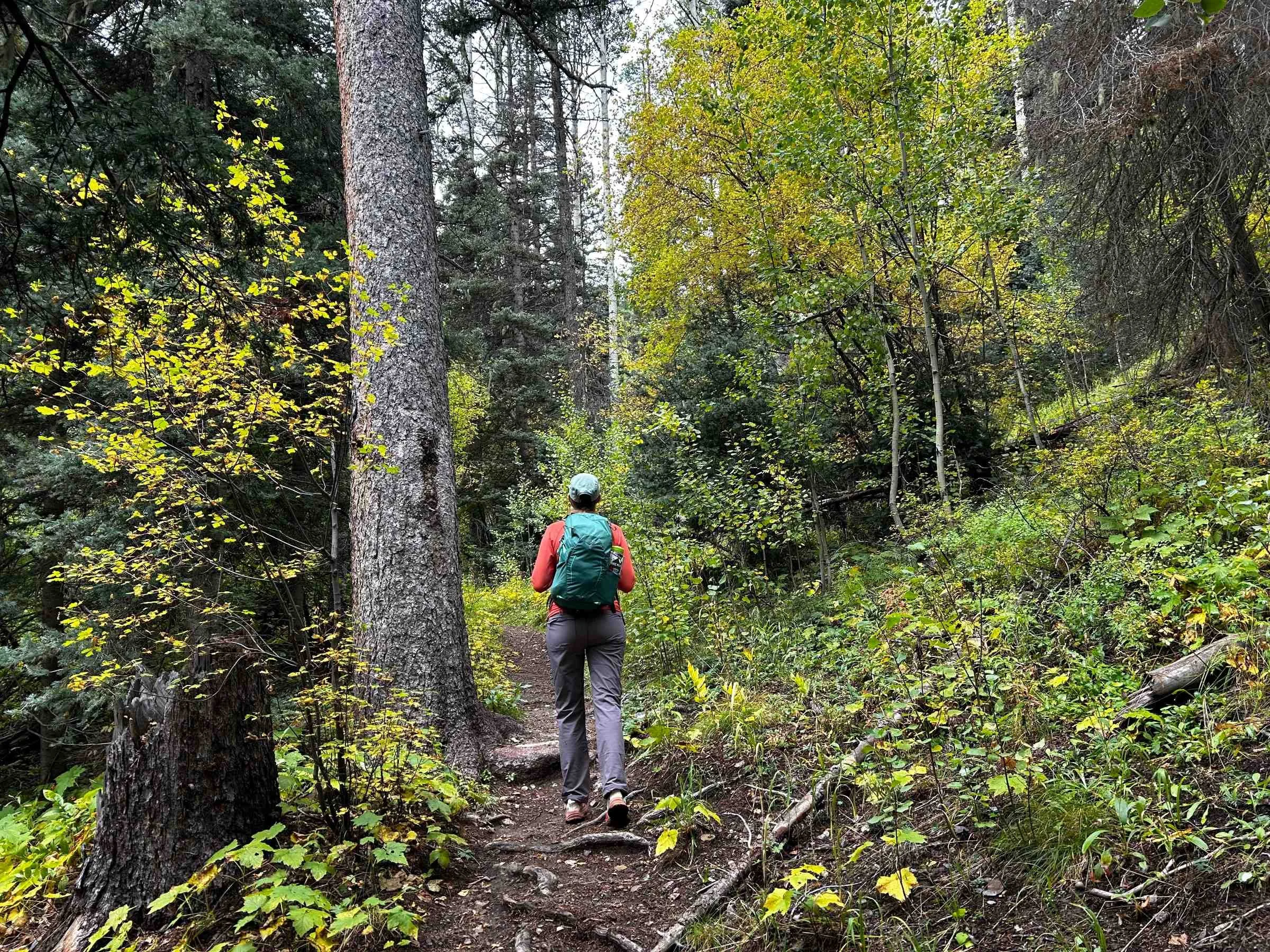Altra-Mont-Blanc-hiking.jpg