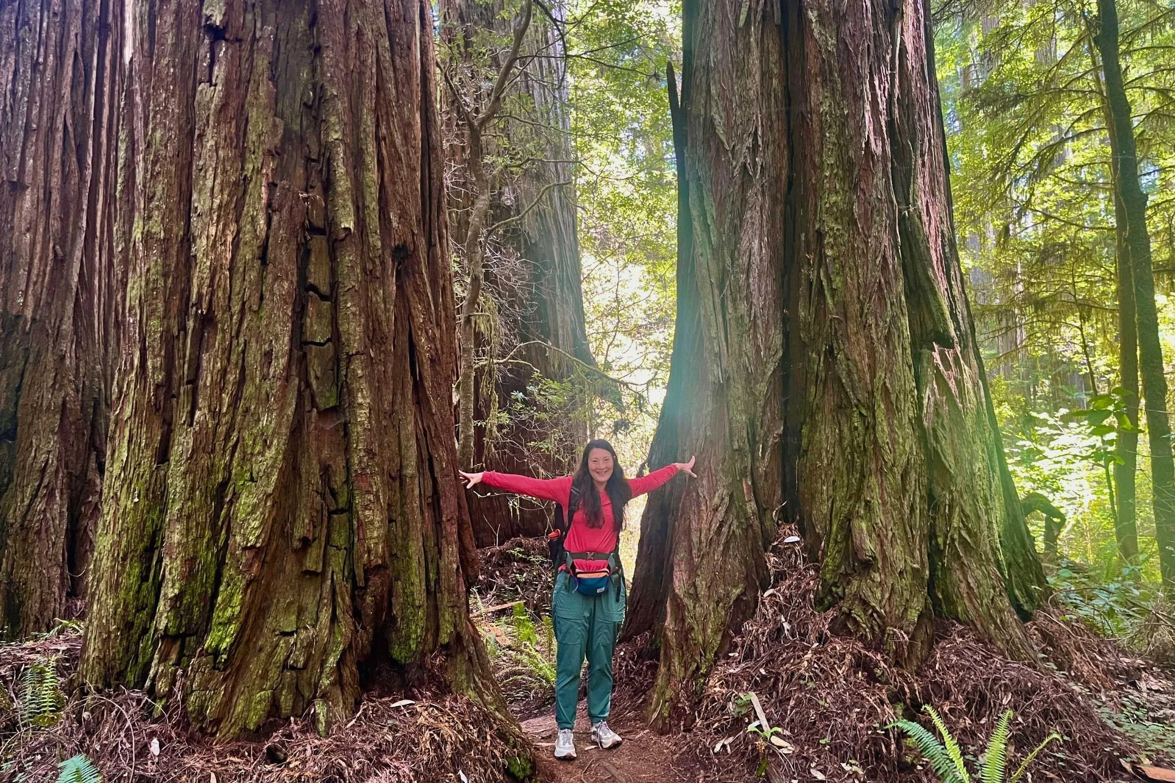   The Upland Sun Shirt worked well in humid climates, like the coastal temperate rainforest in Redwoods National Park. It also worked well in drier climates in Southern California.  