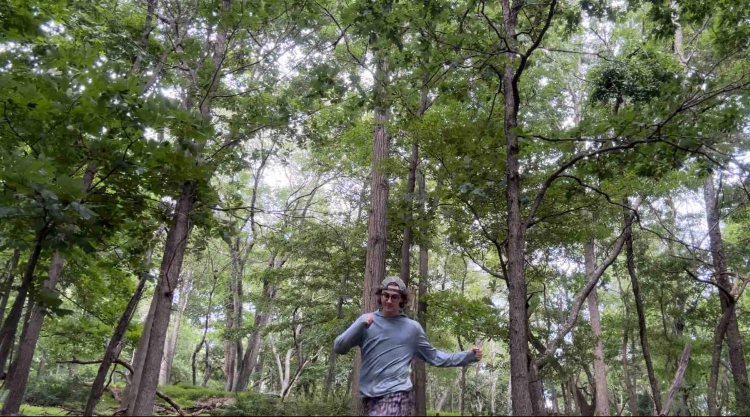   Person wearing Free Fly Shade Hoodie standing beneath forest canopy  