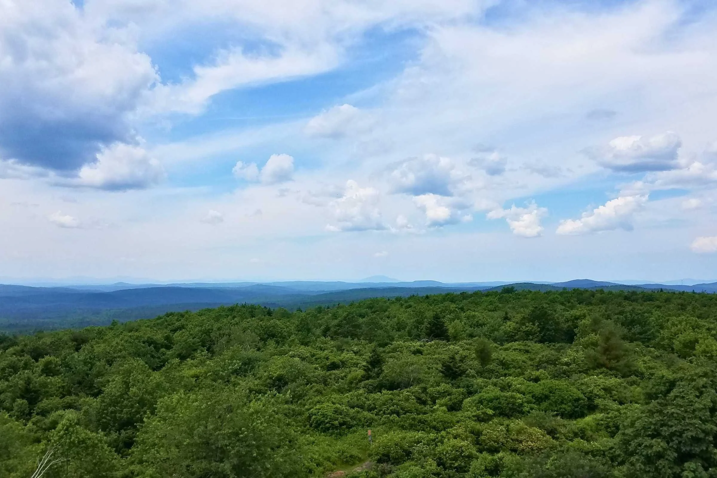   A view of Mt Monadnock in the distance from the halfway point.   Photo by Aubri Drake.  