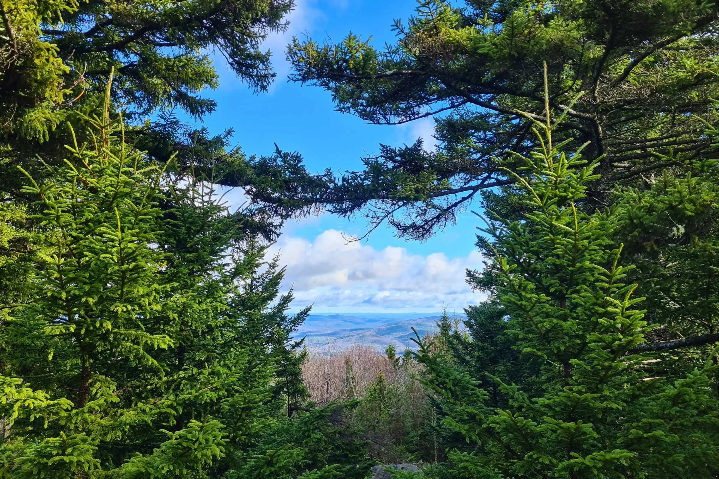   A view from Mt Lovewell.   Photo by Aubri Drake.  