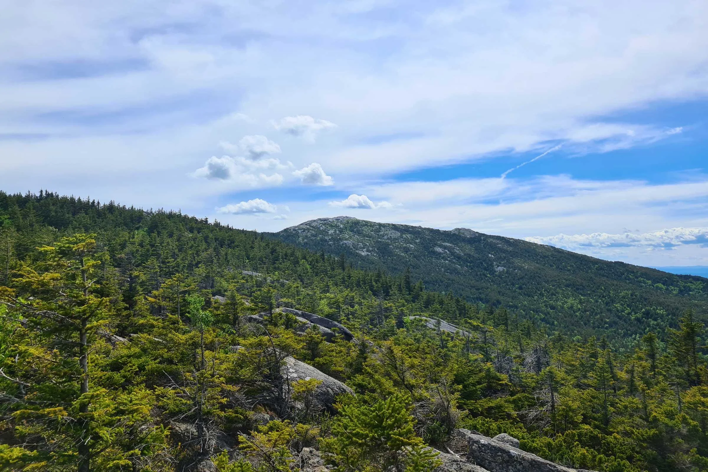   A view of Mt Monadnock’s summit from the mountainside.   Photo by Aubri Drake.  