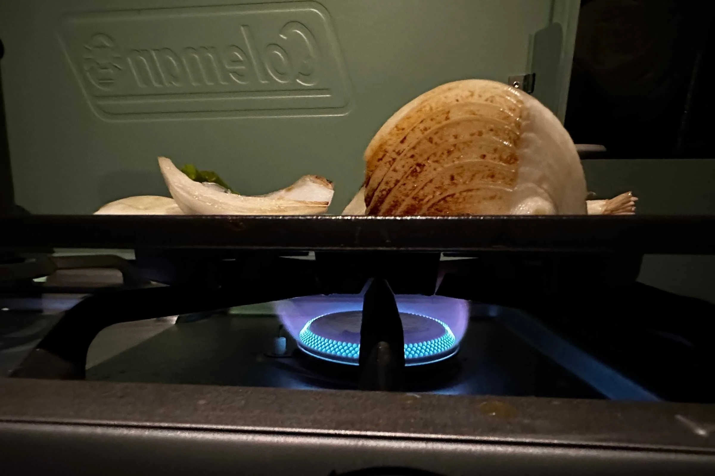   Cooking an onion on the Coleman Cascade 3-in-1 camp stove  