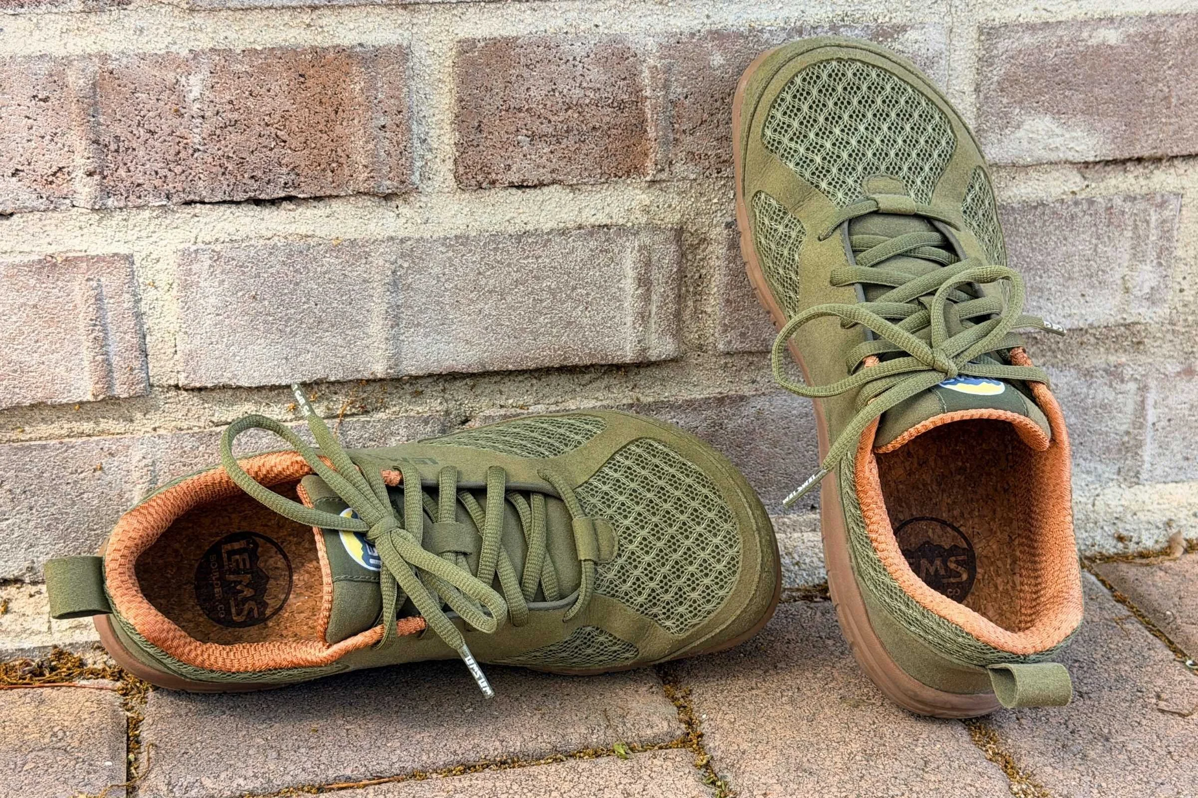   Pair of Lems Primal 3 barefoot shoes against a brick wall  