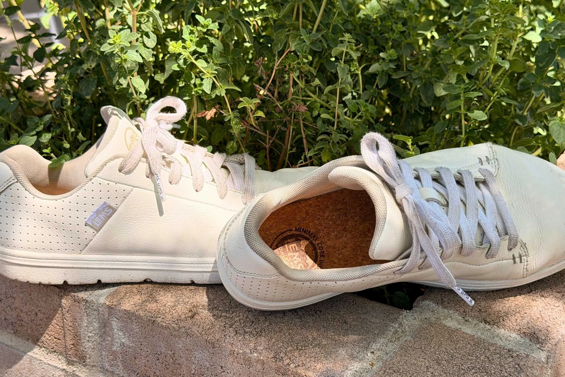   Pair of Lems Kourt barefoot shoes on a stone ledge outdoors  