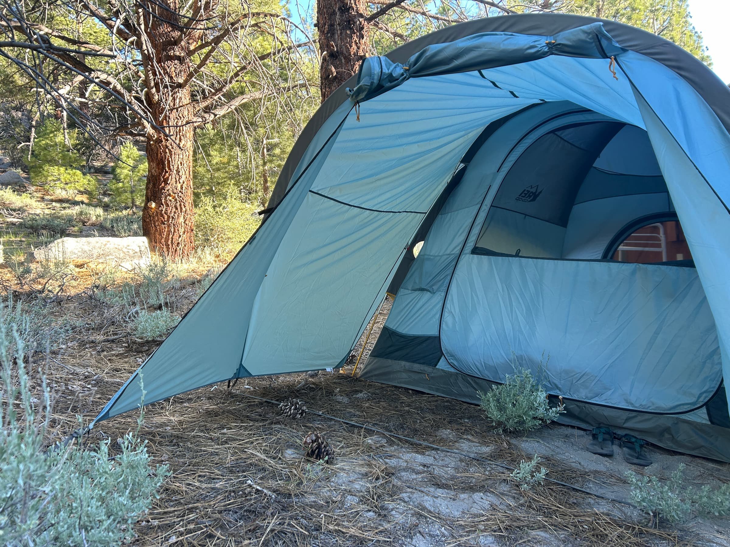 REI Co-op Westward 6 Tent Review