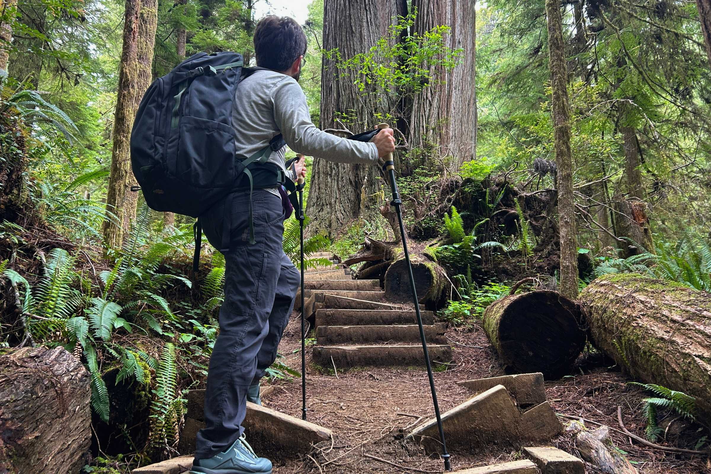   Backpacking on a wooded trail using the Gossamer Gear FT3 trekking poles  