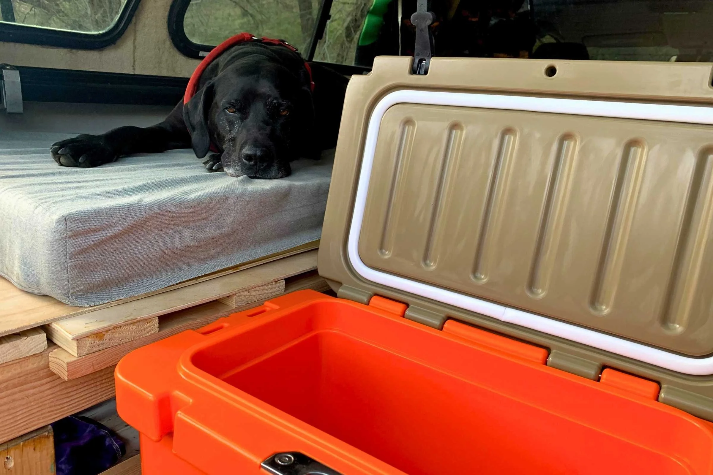   The Calcutta in the back of the adventure truck.   Photo courtesy Josette Deschambeault.  