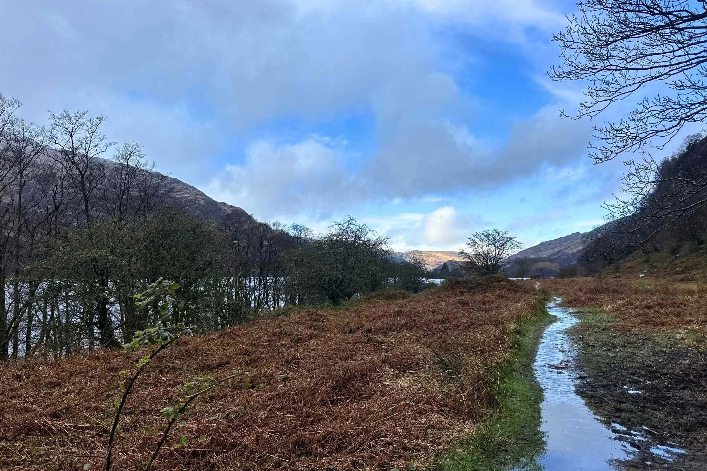 West-Highland-Way-WTG-Day-3-muddy-trail-Loch-Lomond.jpg