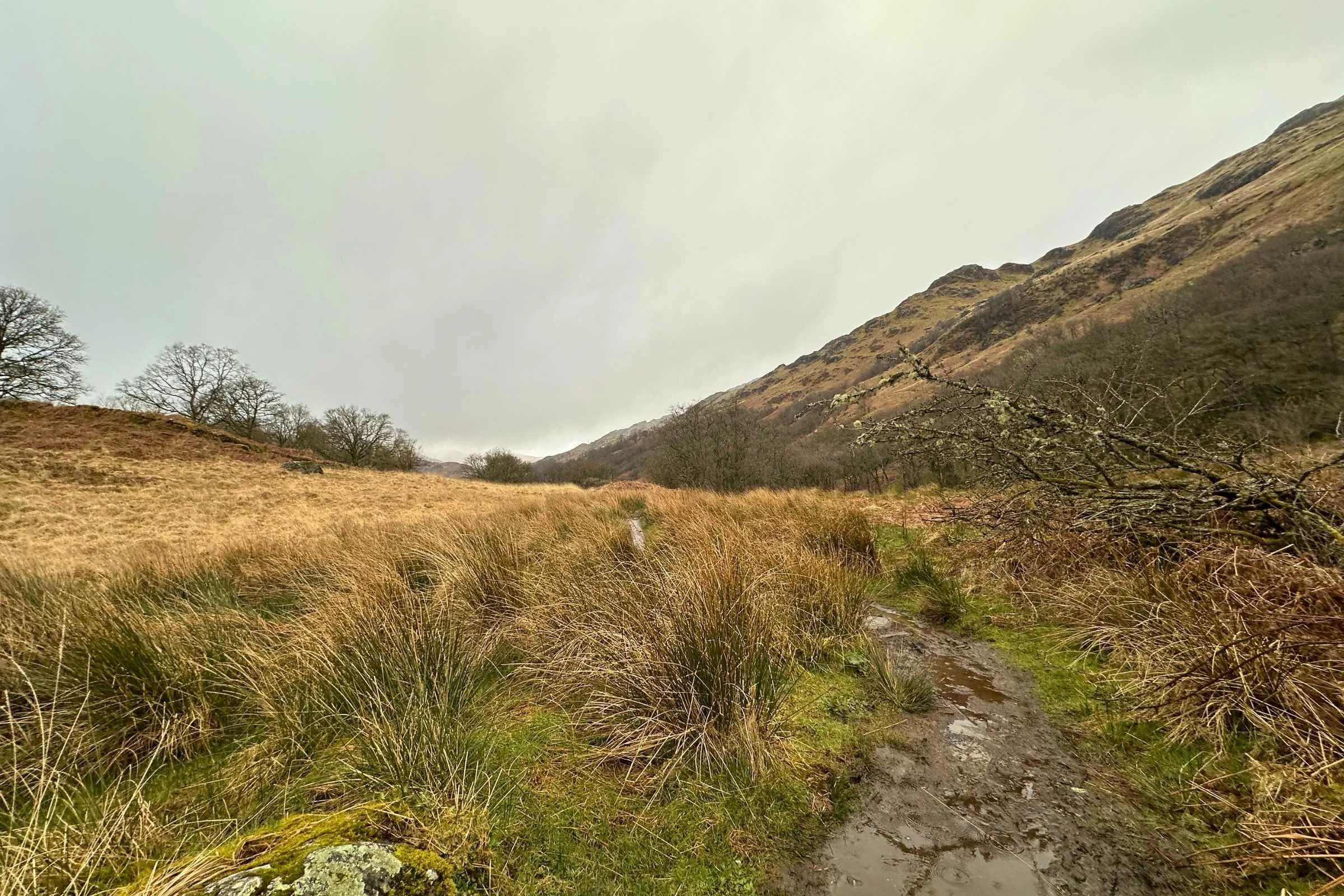 West-Highland-Way-WTG-Day-3-approaching-higher-lands.jpg