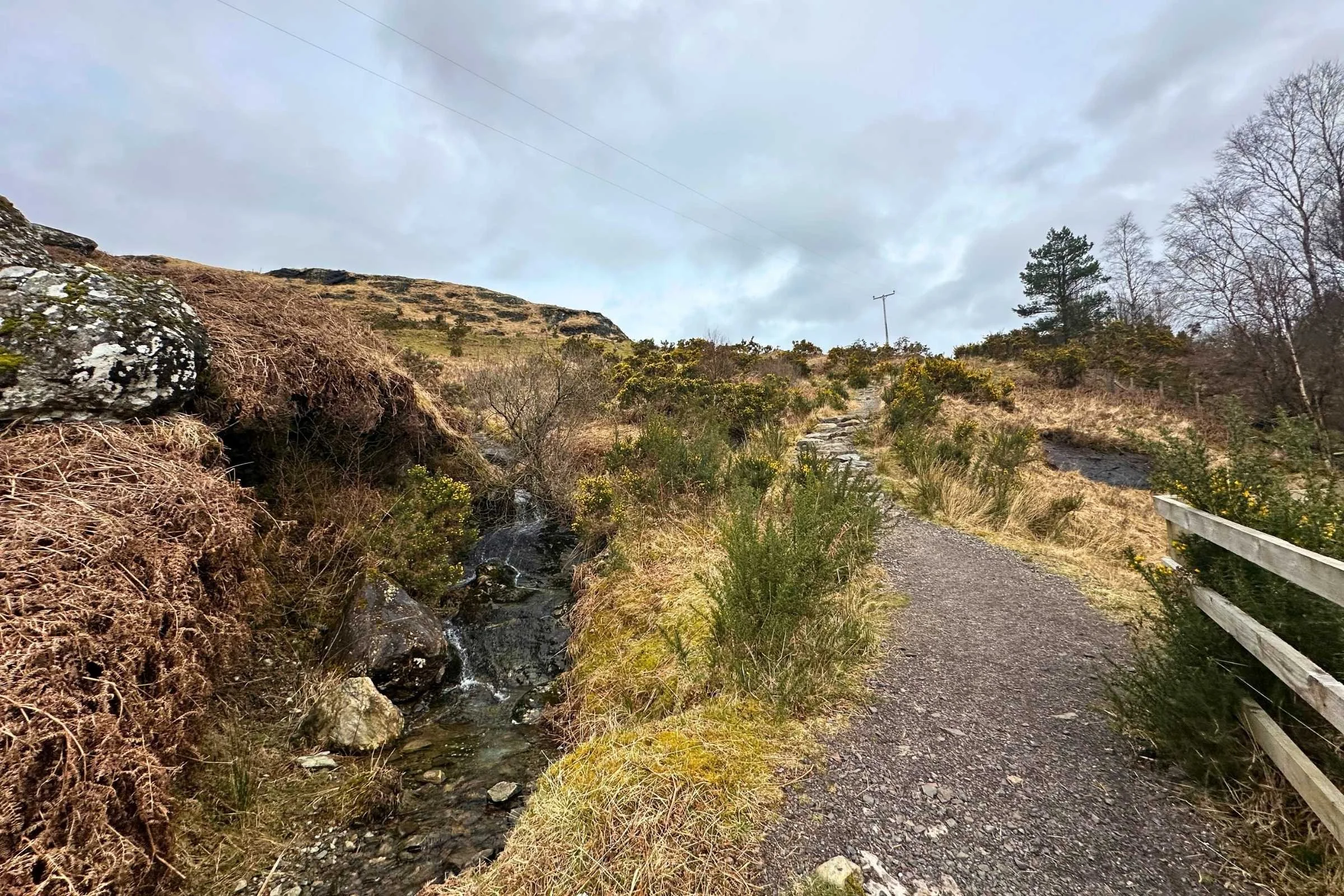 West-Highland-Way-WTG-Day-4-gravel-path-into-highlands.jpg