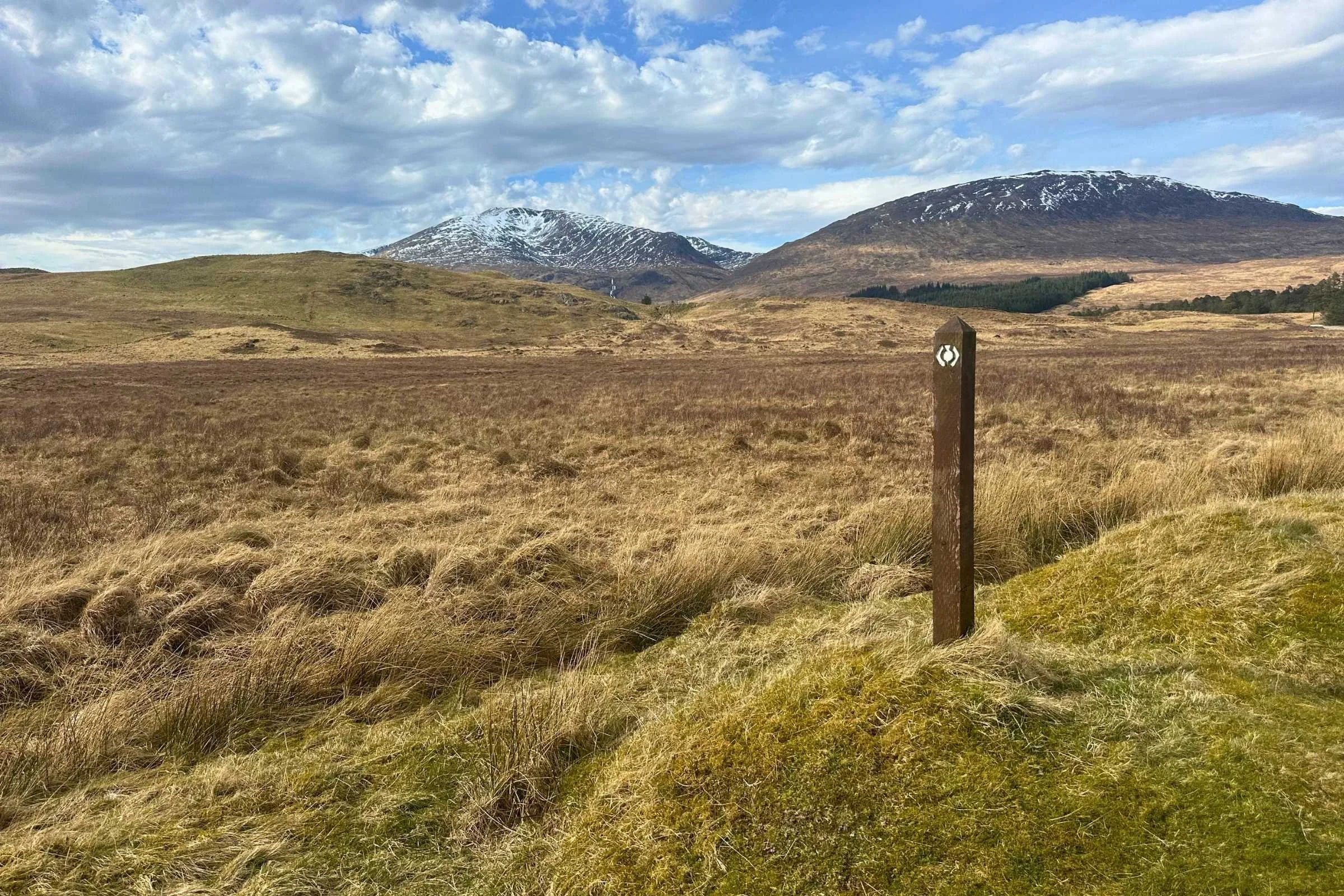 West-Highland-Way-WTG-Day-5-trail-marker-highlands-highlands.jpg
