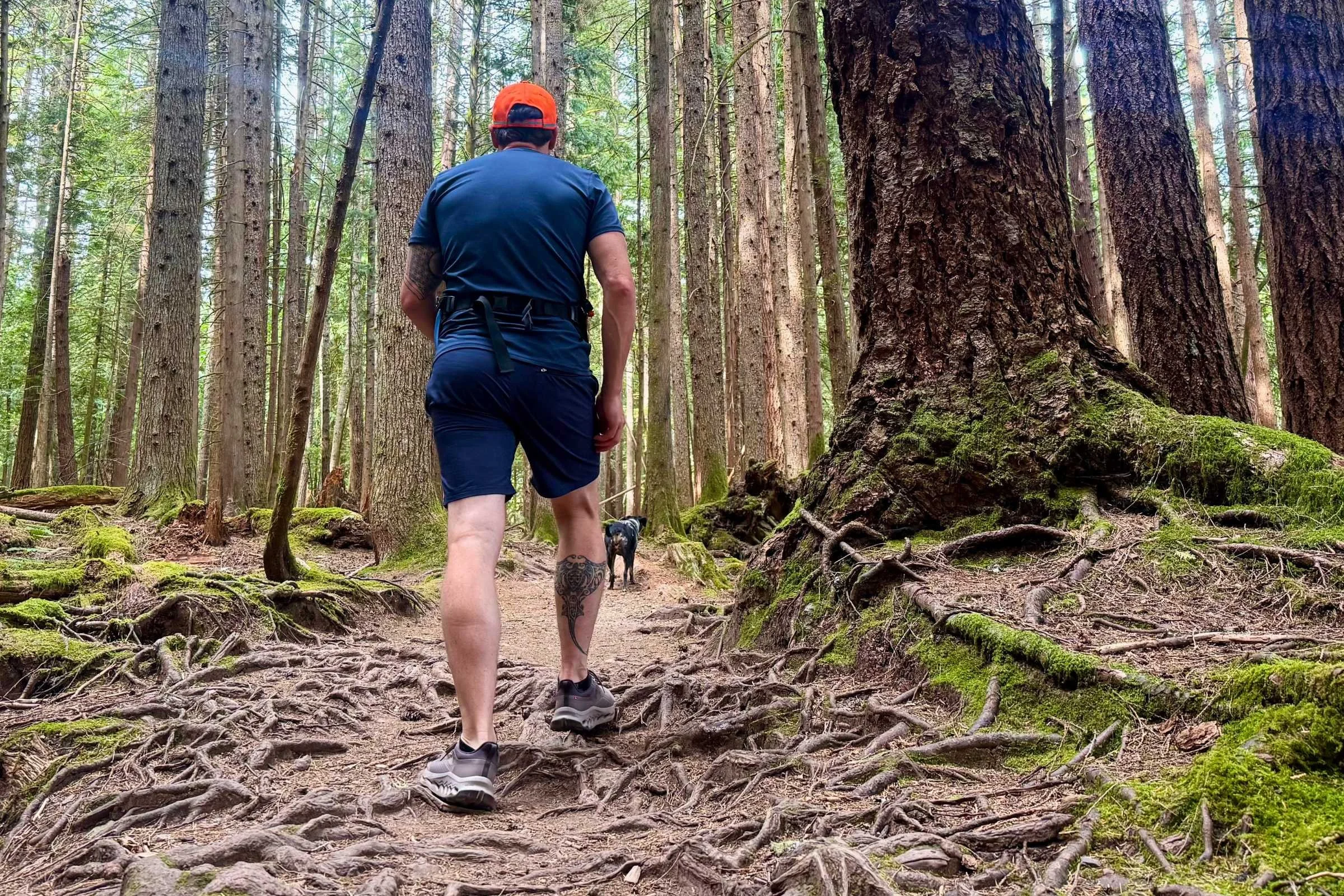   Testing the toe protection of the Cloudhorizon 2 on an uphill rooty section.  