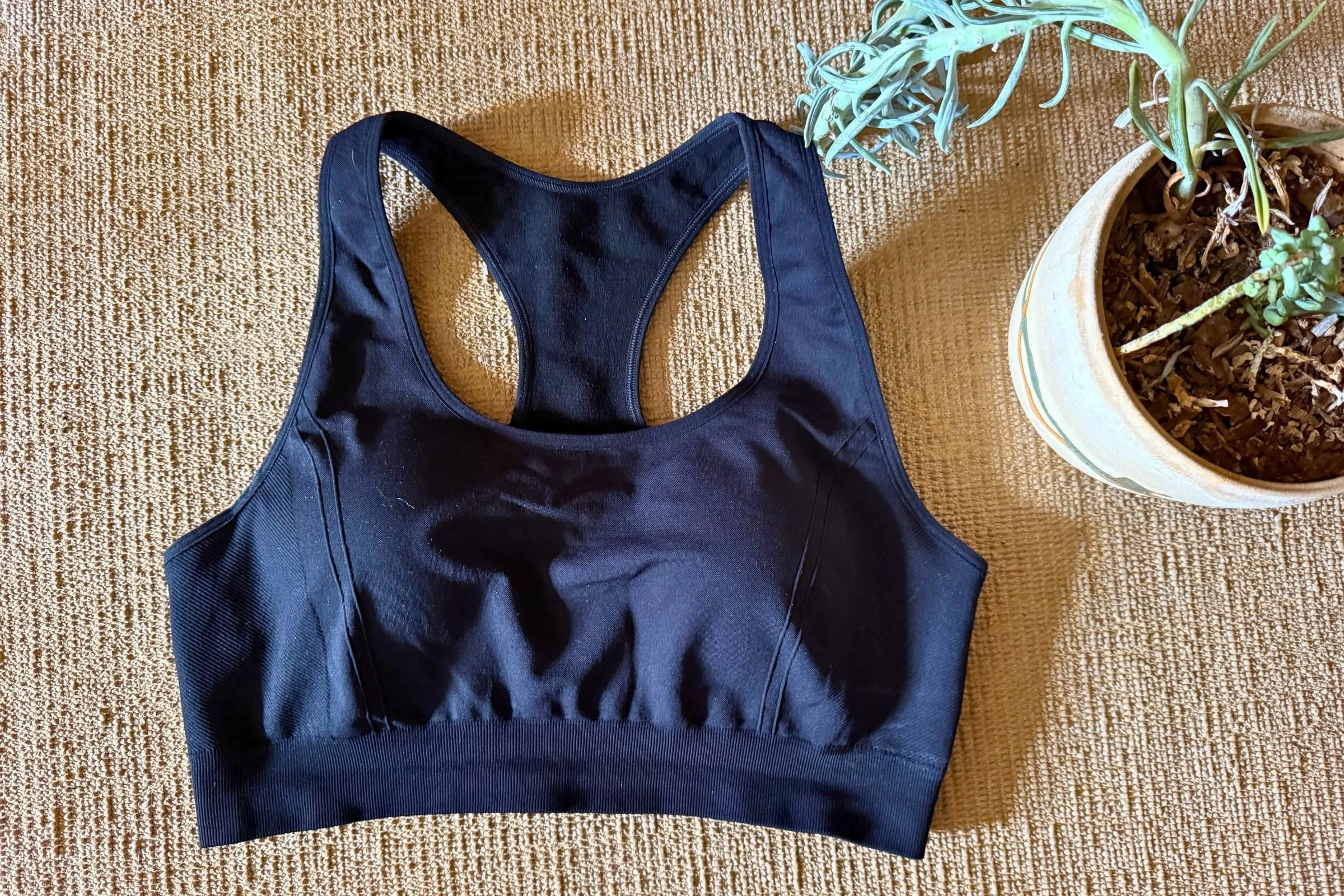   The Ridge Merino Send-It Seamless Sports Bra is our favorite bra for all-around mid-impact activities thanks to its comfort, materials, support, and simple but effective design.  
