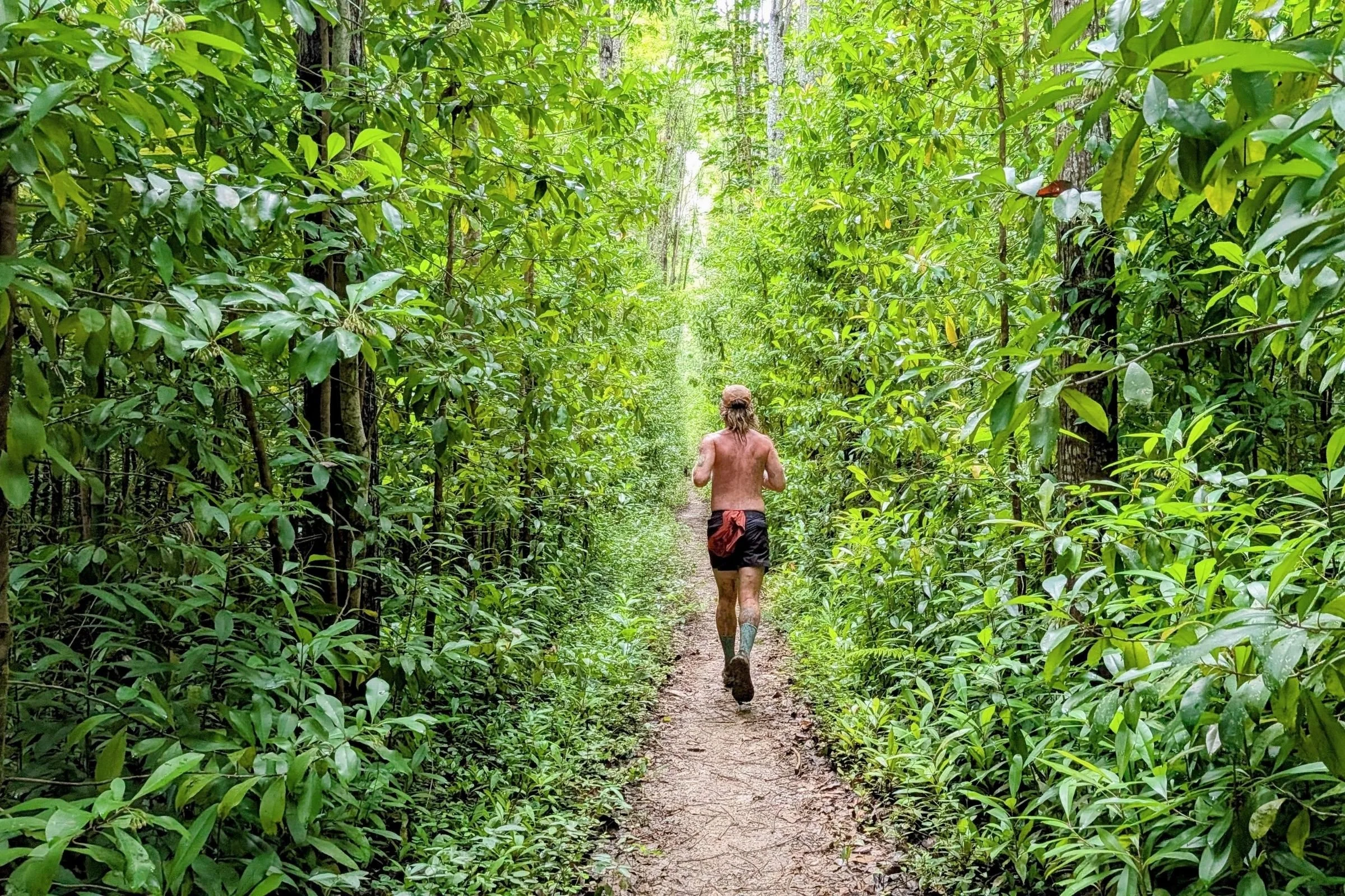   Testing the Tracksmith Twilight shorts on a mixed surface run through the jungle in Hawaii  
