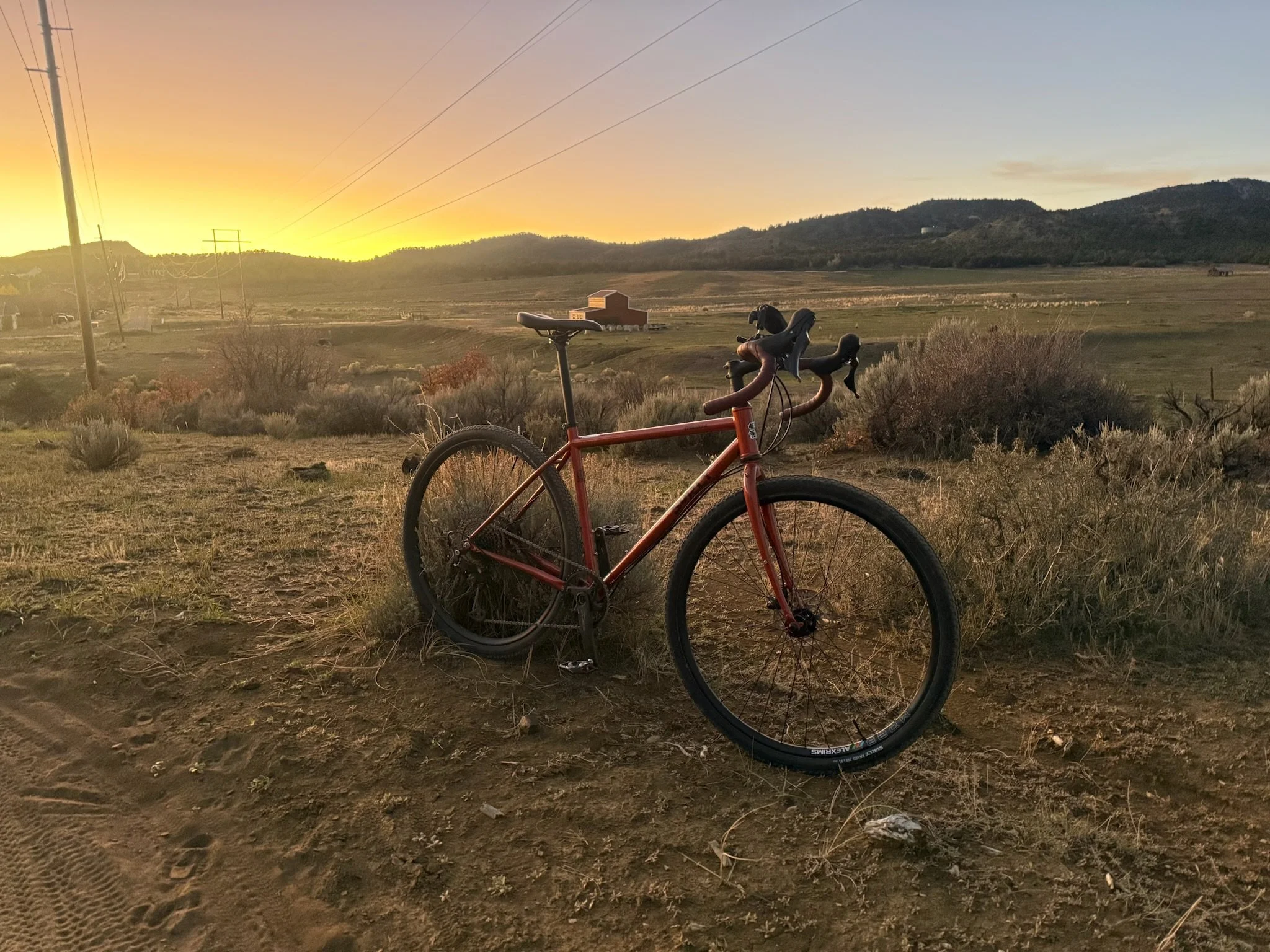   The Surly Straggler  