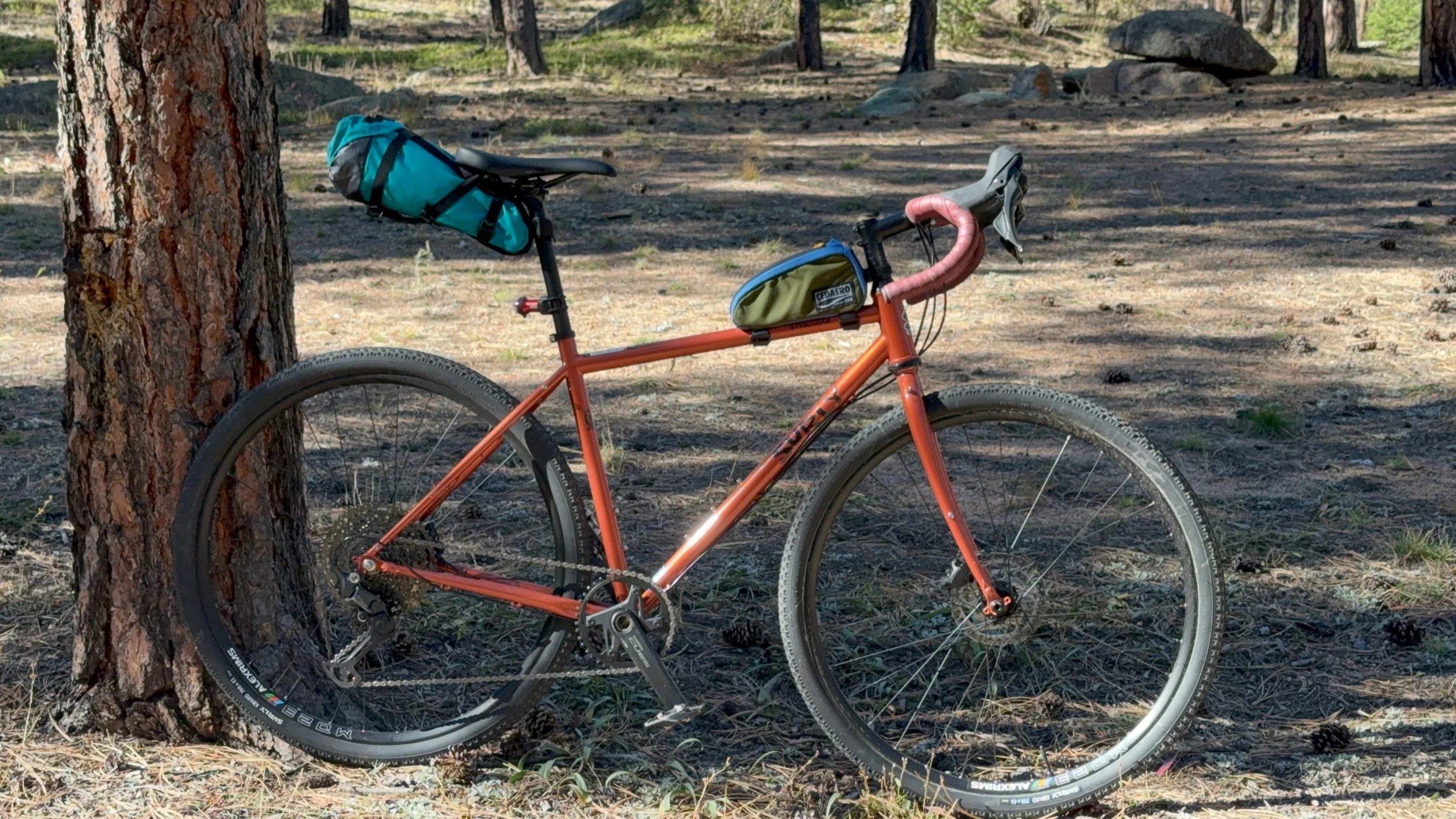   A close-up of the Straggler with bikepacking bags attached to the frame and handlebars.  