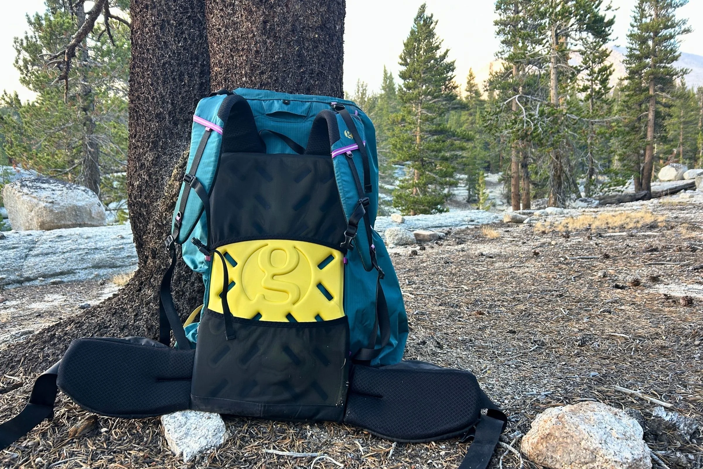   The Gossamer Gear Mariposa 60 stands packed against a tree, showing its large main compartment, spacious exterior pockets, and integrated hip belt pockets.  