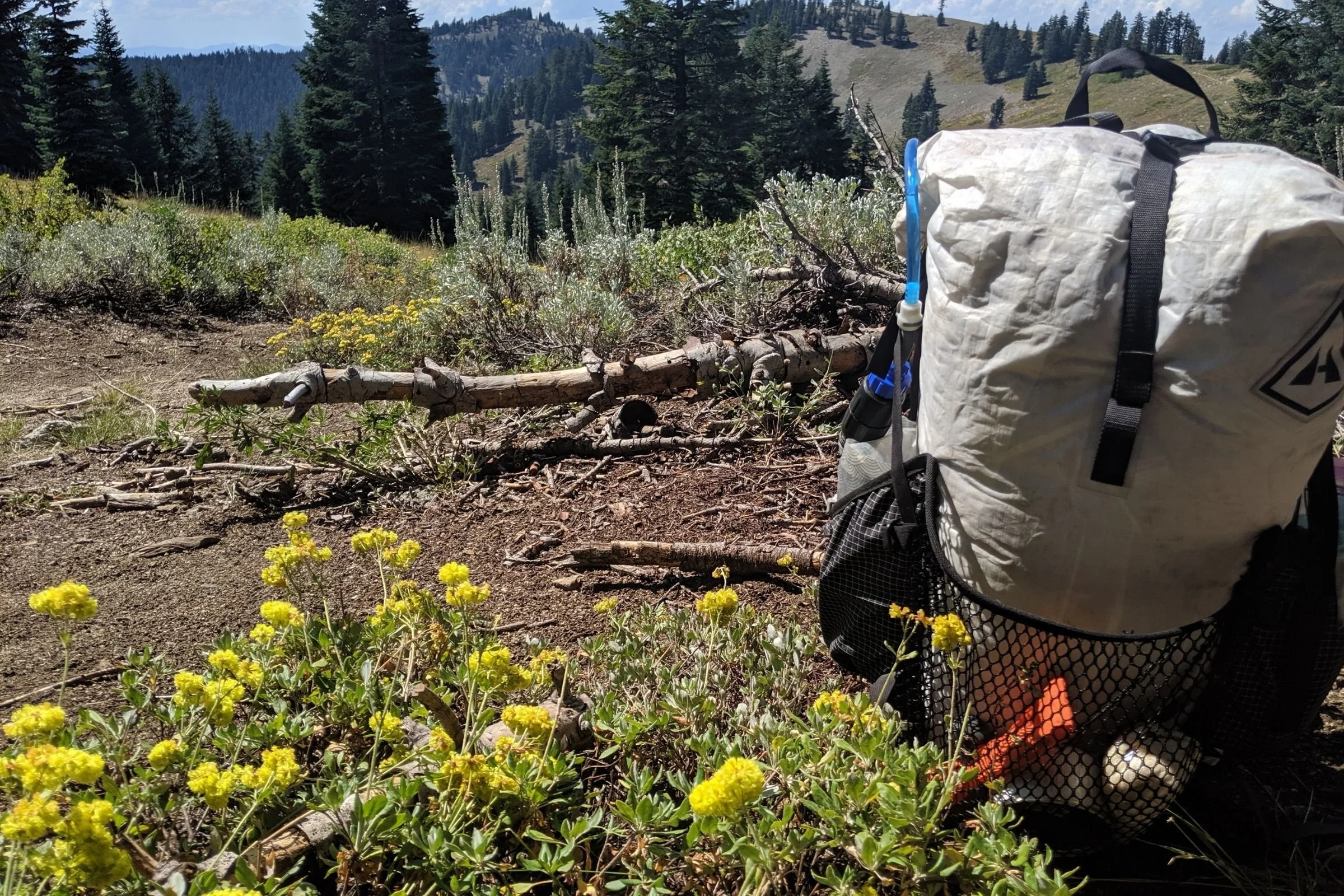   The HMG Junction on the PCT near Mt. Ashland.   Photo by Liz Thomas.  