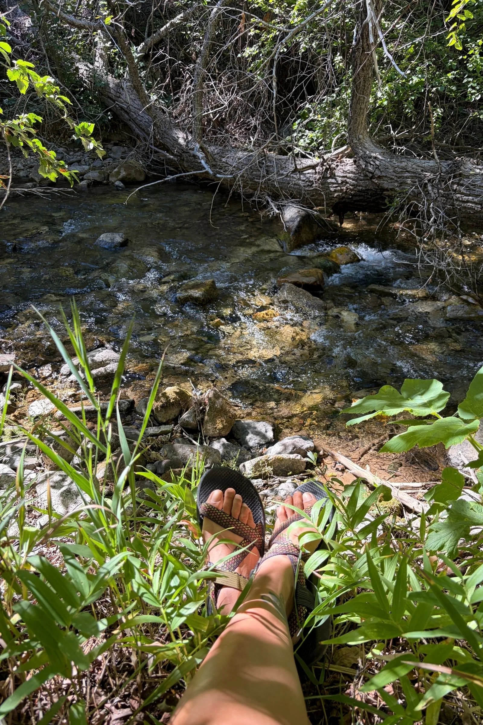   We wore the Chaco Rapid Pro Z/1 from the trail to the river, finding the supportive sandals versatile for wet wading and backcountry trips.  