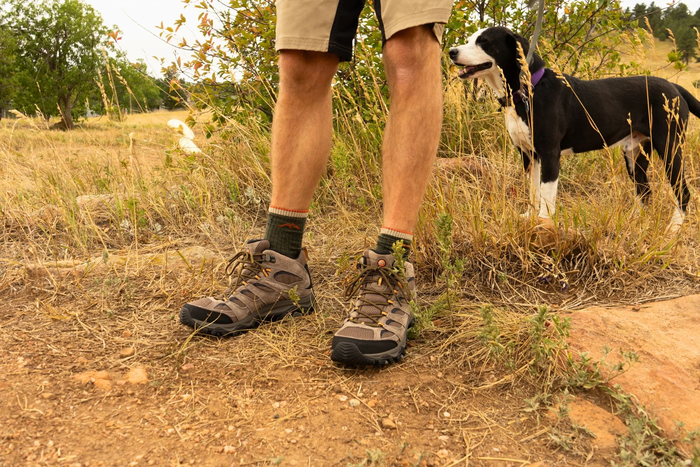   We tested the Merrell Moab 3 Mid Waterproof hiking boots on the trail and found them extremely comfortable for hiking and light backpacking.  