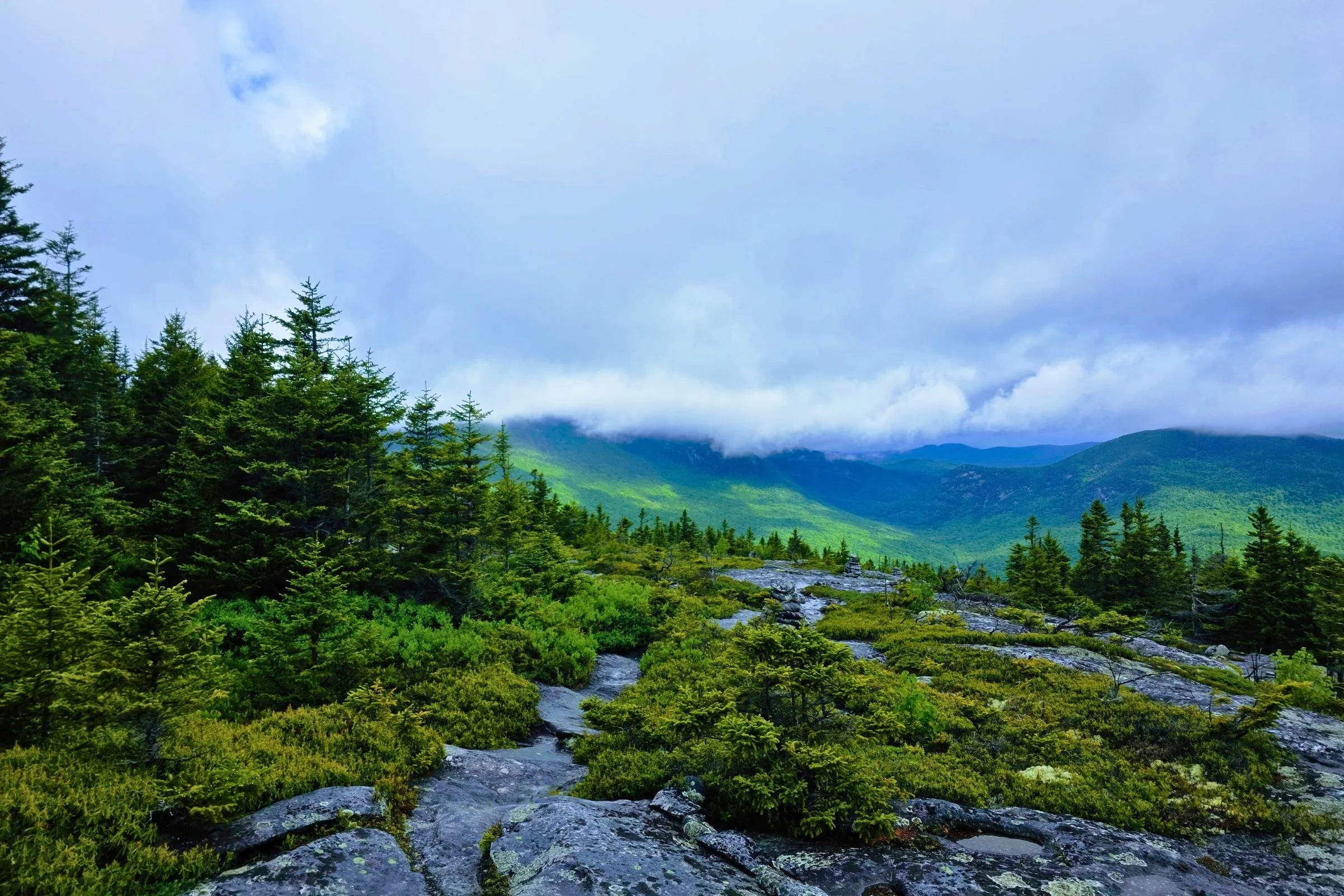   Views of Old Speck, Grafton Notch, and the Baldpates from Sunday River Whitecap.   Photo by Aubri Drake.  