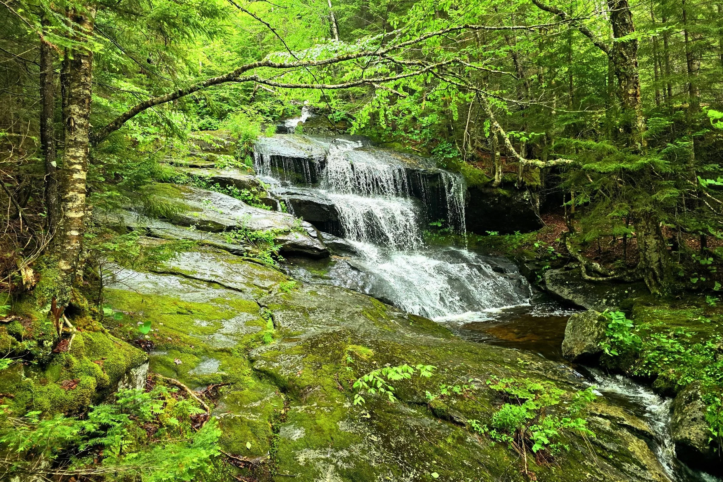   A beautiful waterfall on the descent of Old Speck.   Photo by Aubri Drake.  