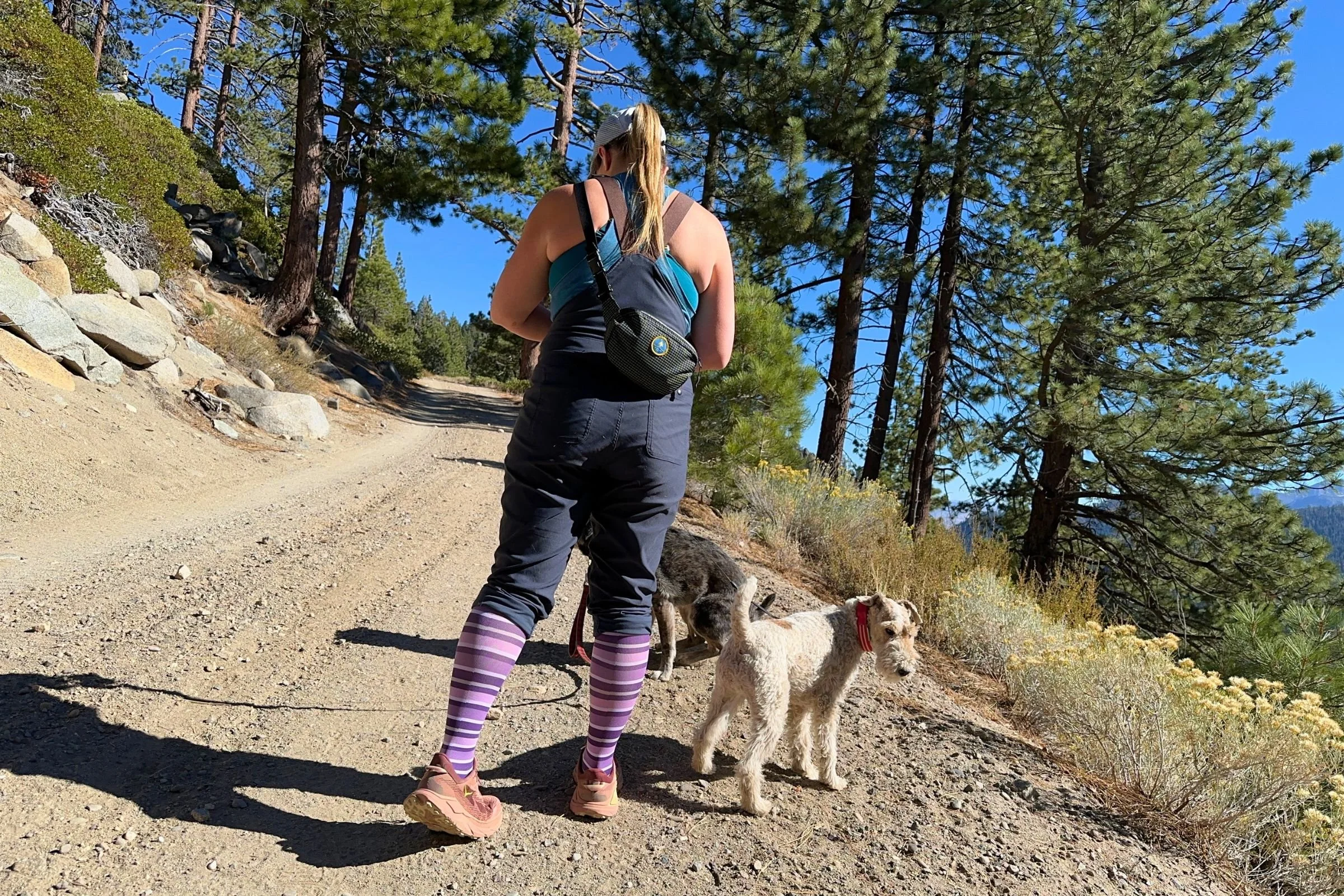   A hiker wears the OS1st Wellness Compression Socks while walking with two dogs on a sunny trail. Their softer fabric and moderate compression make them comfortable for everyday wear between workouts.  